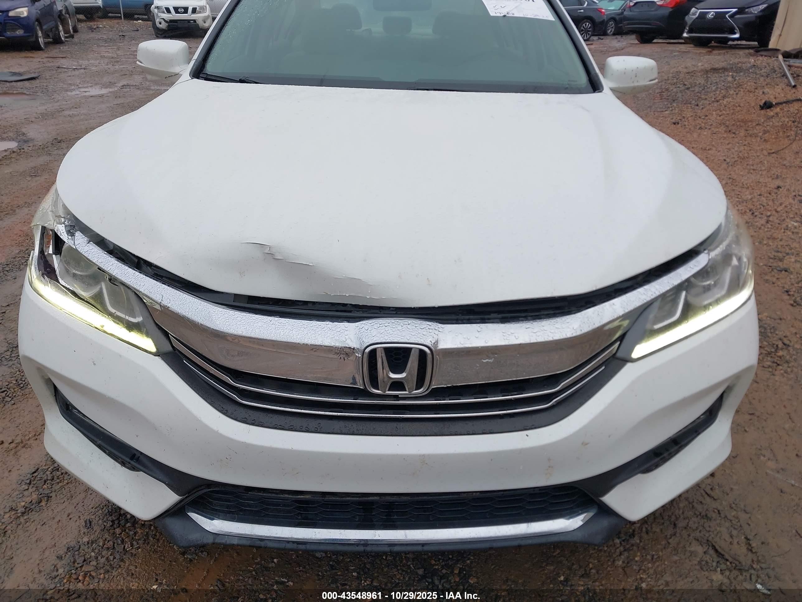 HONDA ACCORD image 6