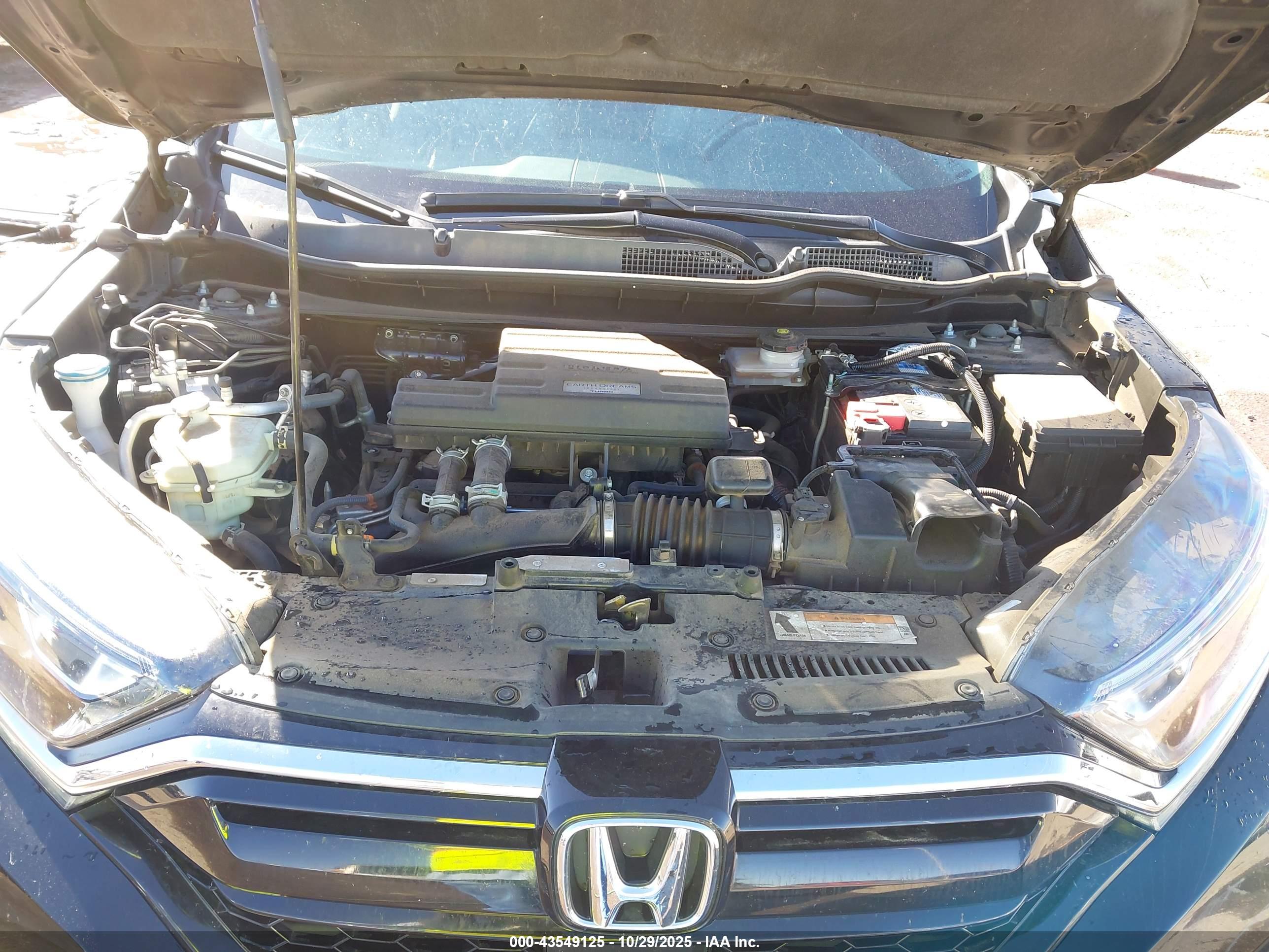 HONDA CR-V image 10