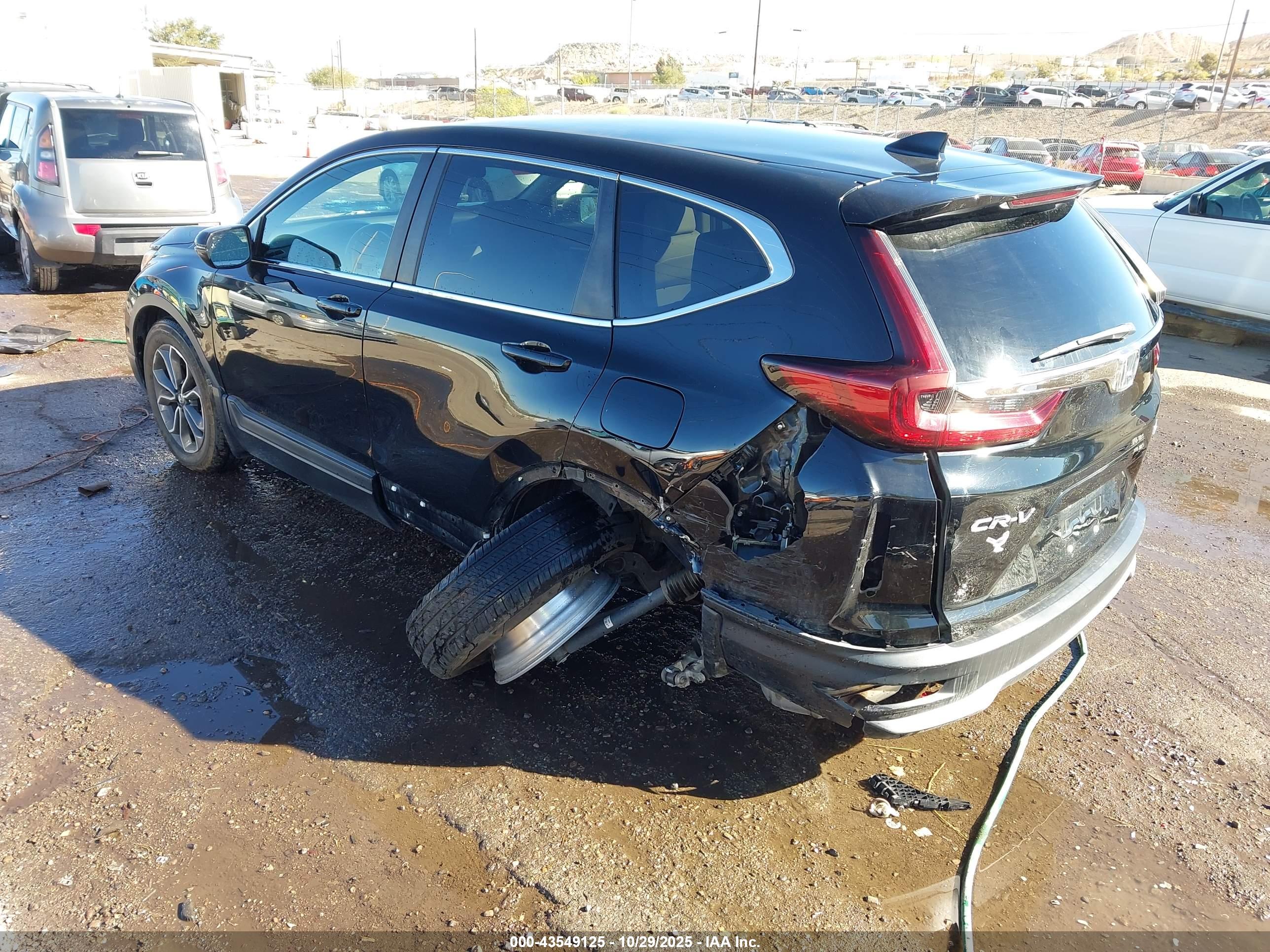 HONDA CR-V image 3