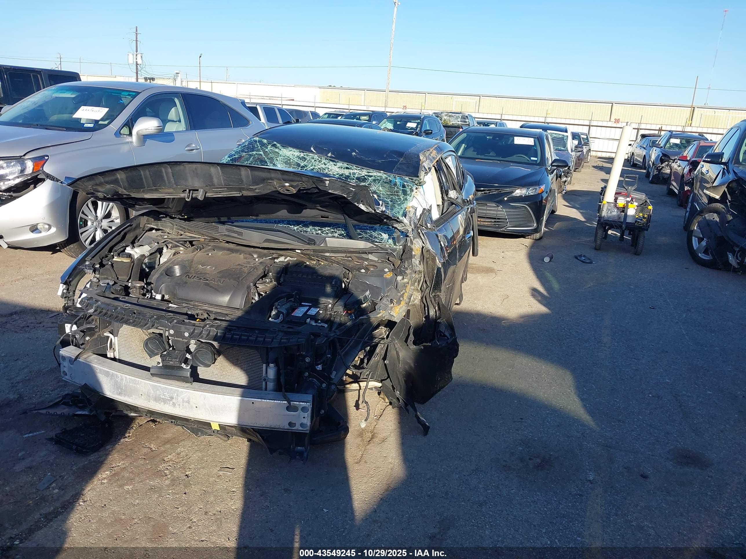 NISSAN MAXIMA image 2