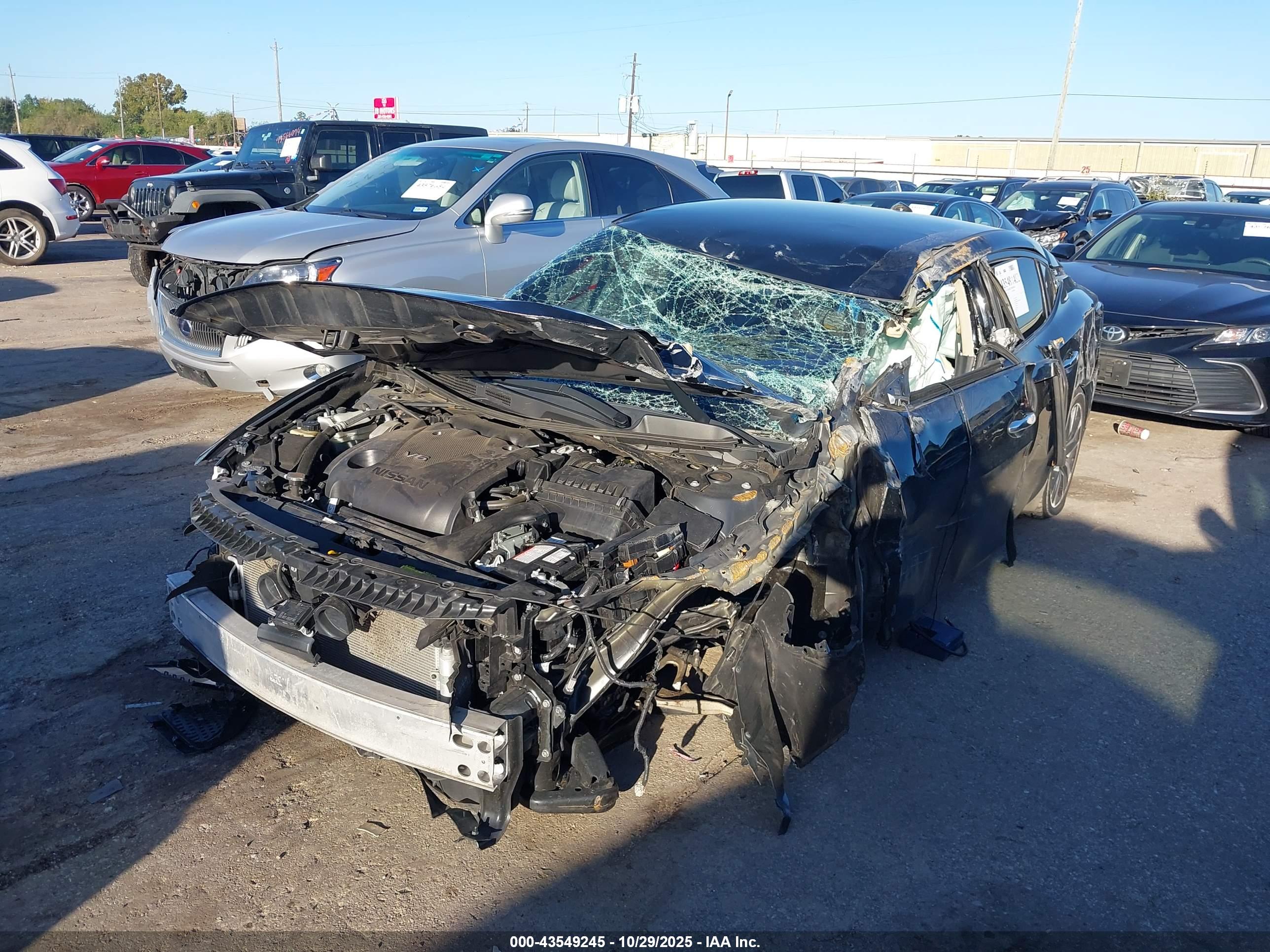 NISSAN MAXIMA image 6