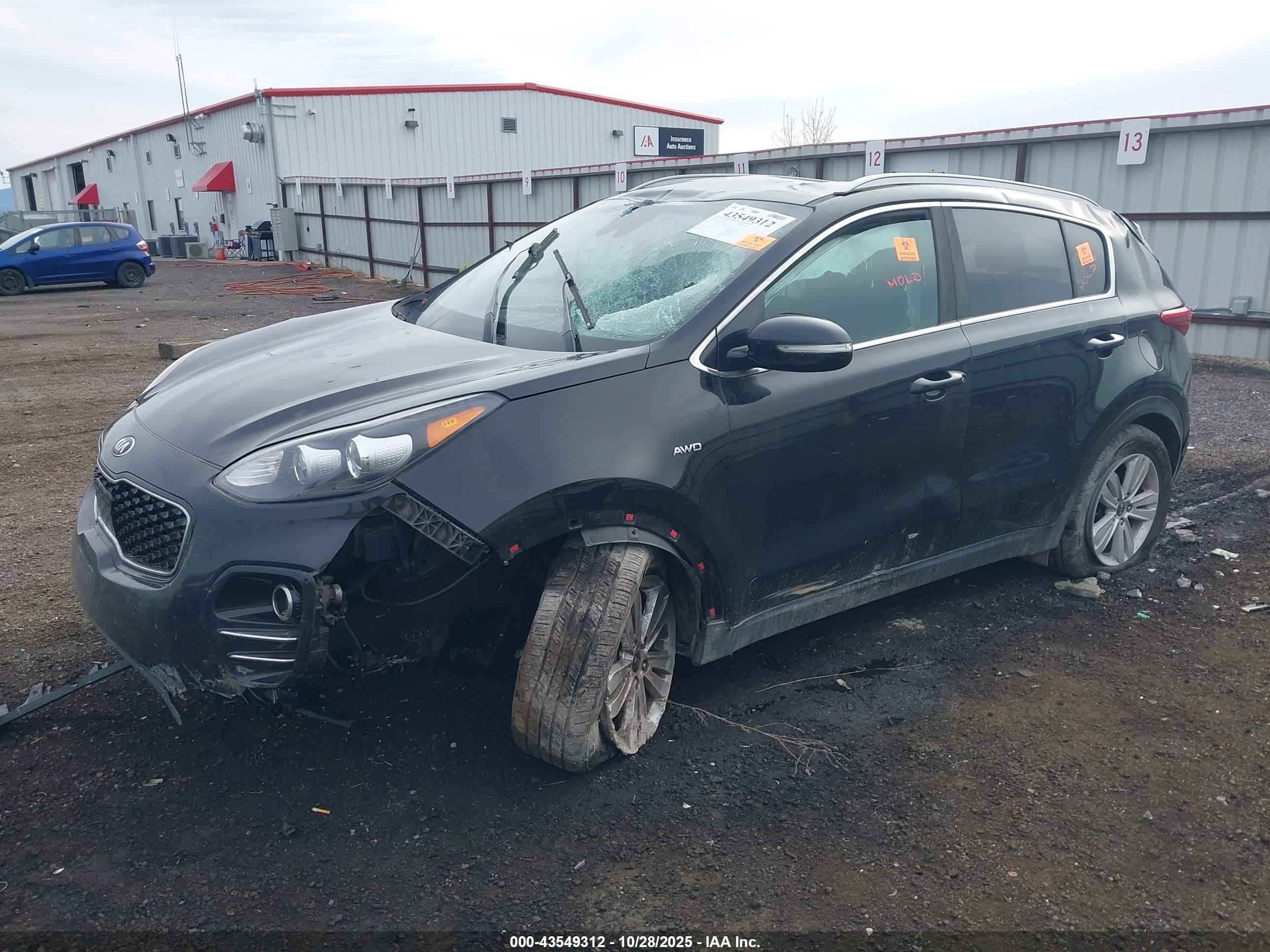 KIA SPORTAGE image 2