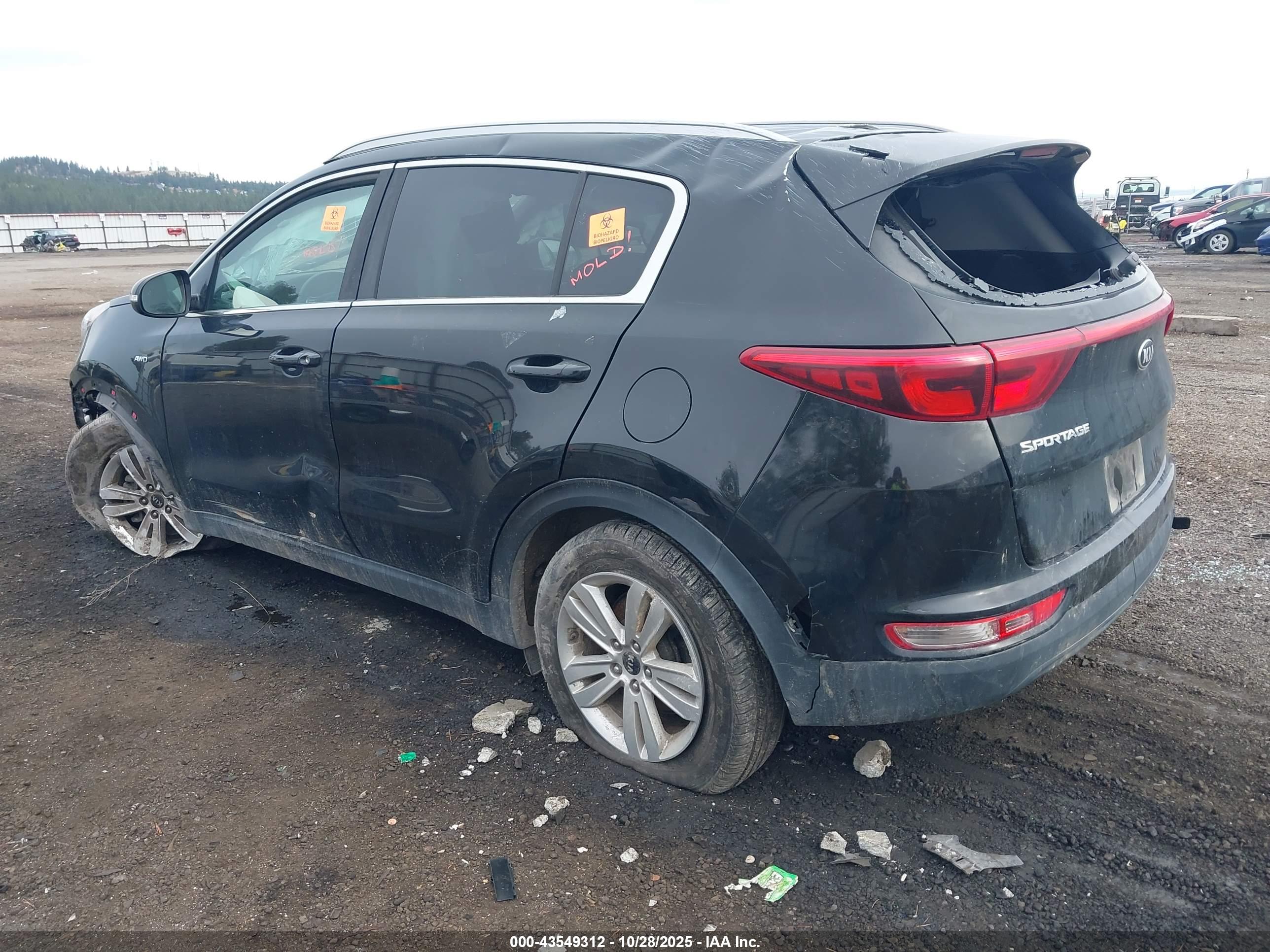 KIA SPORTAGE image 3