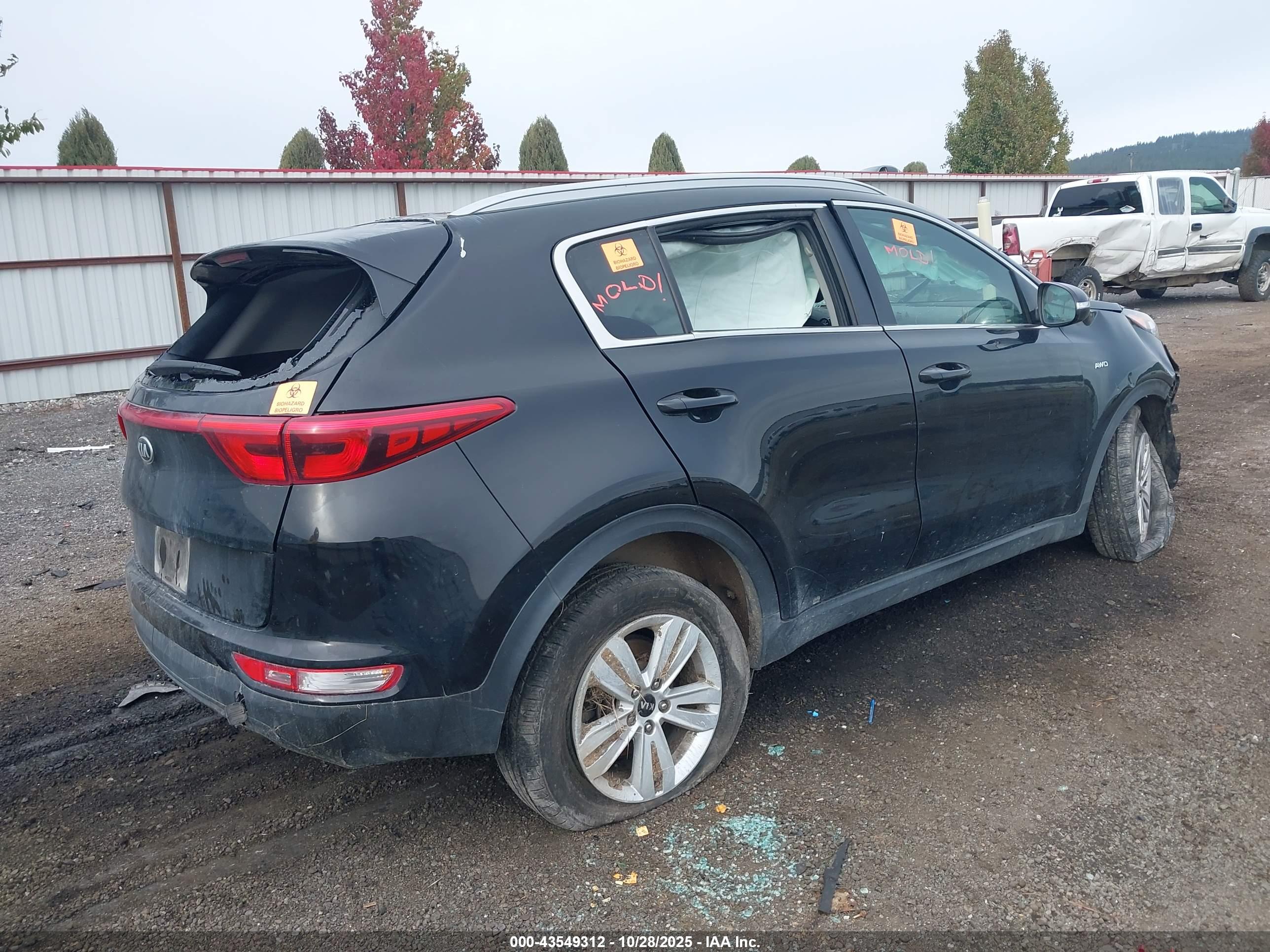 KIA SPORTAGE image 4