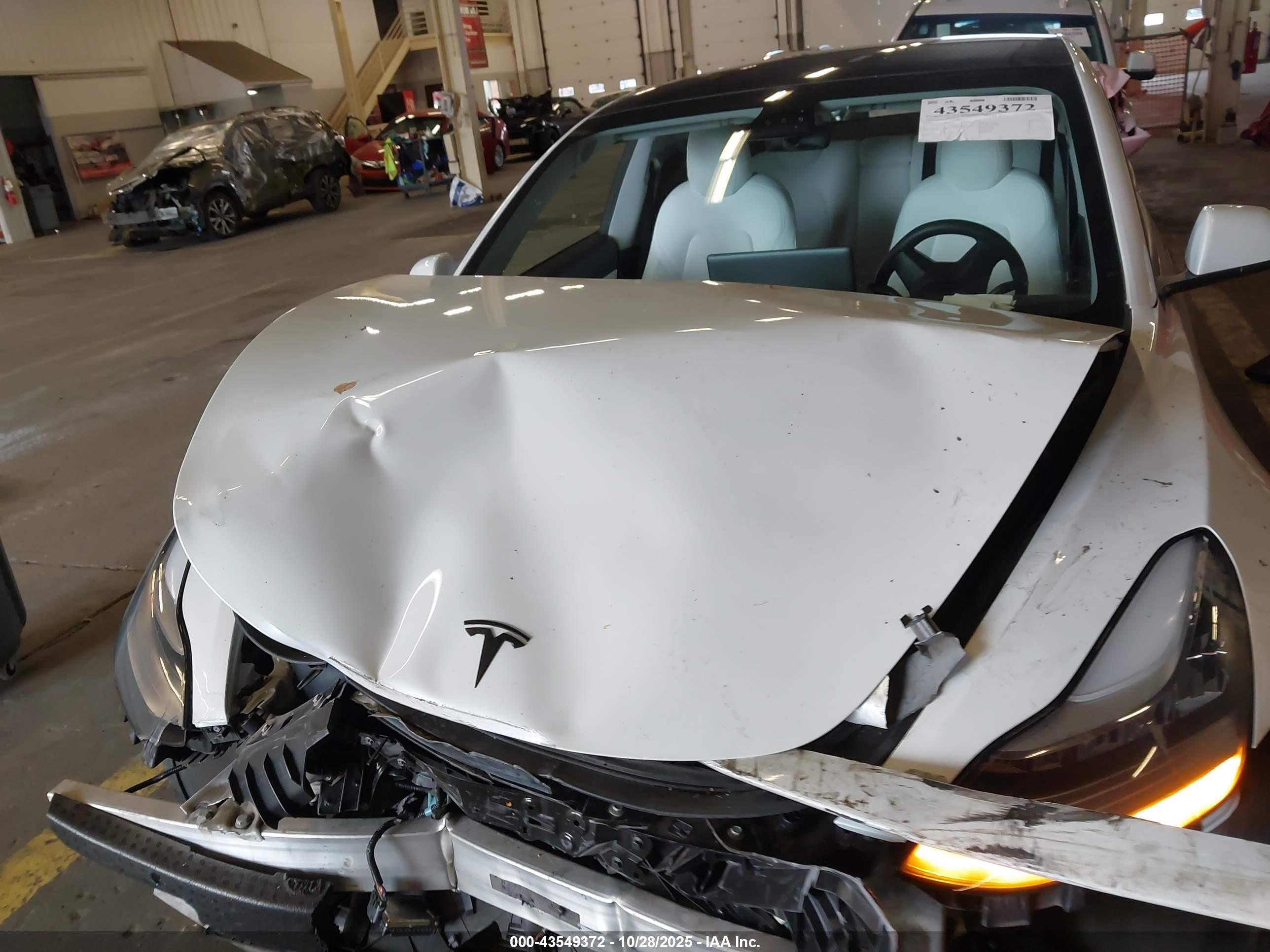 TESLA MODEL image 10