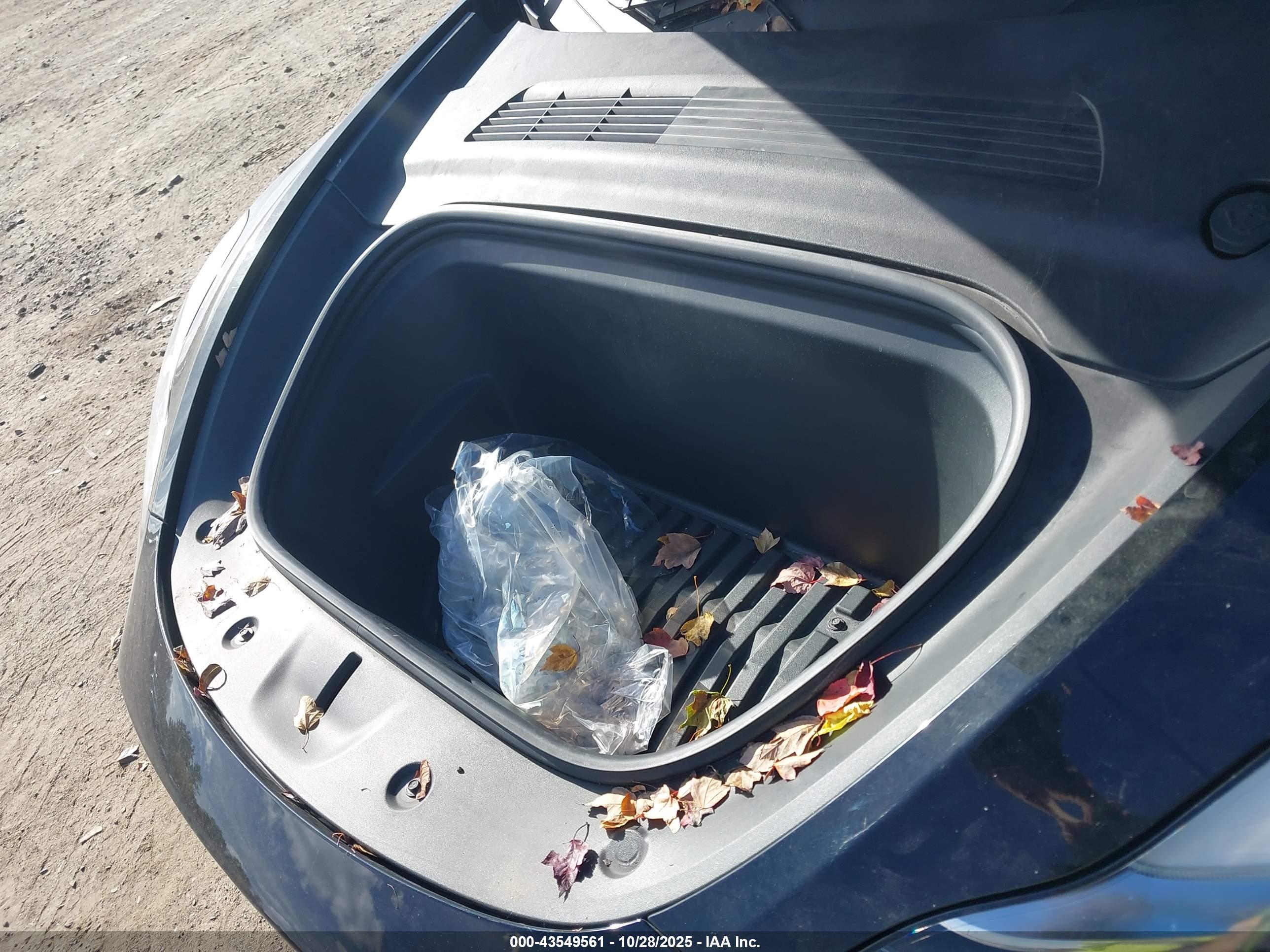 TESLA MODEL image 10