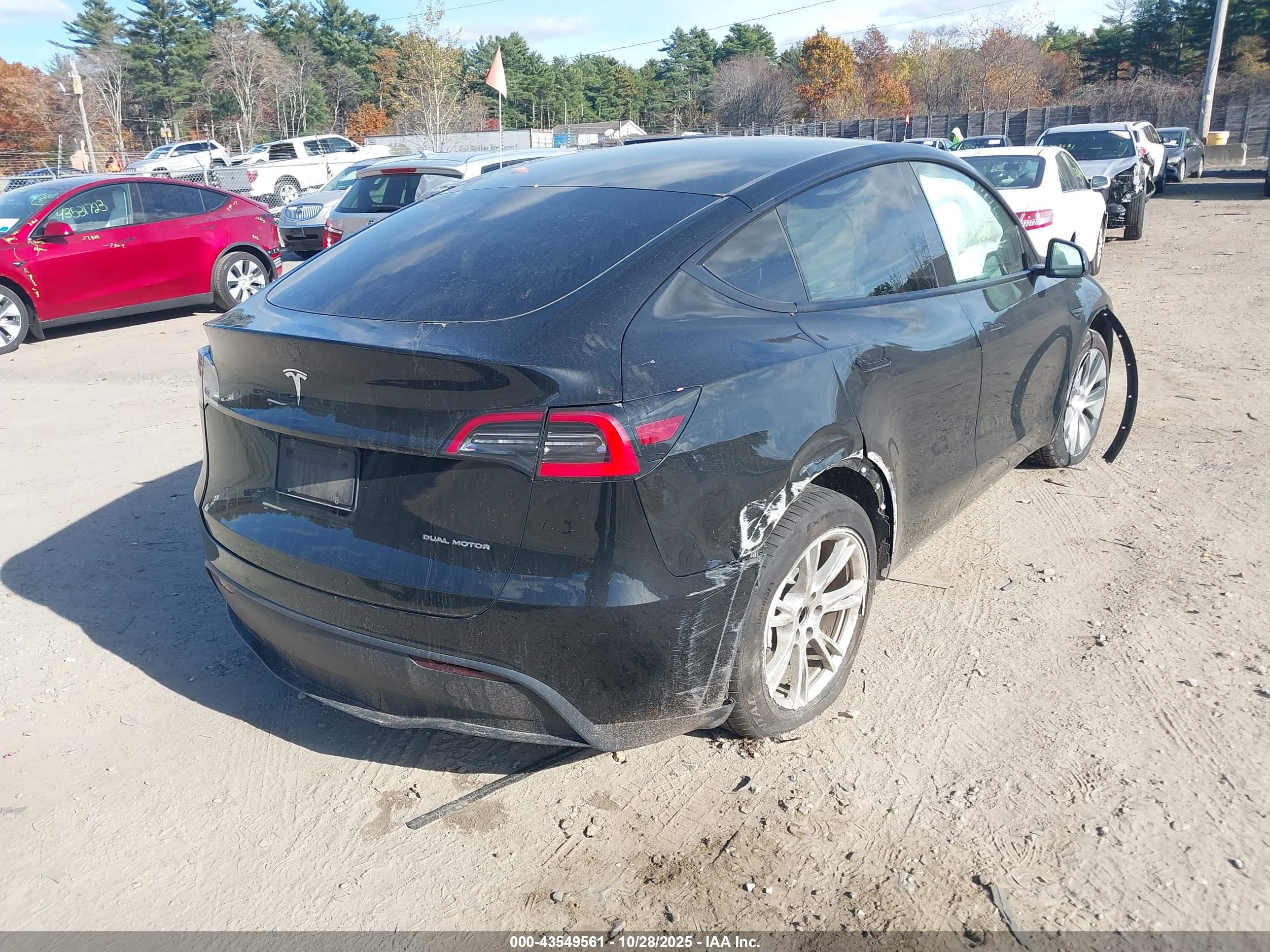 TESLA MODEL image 4