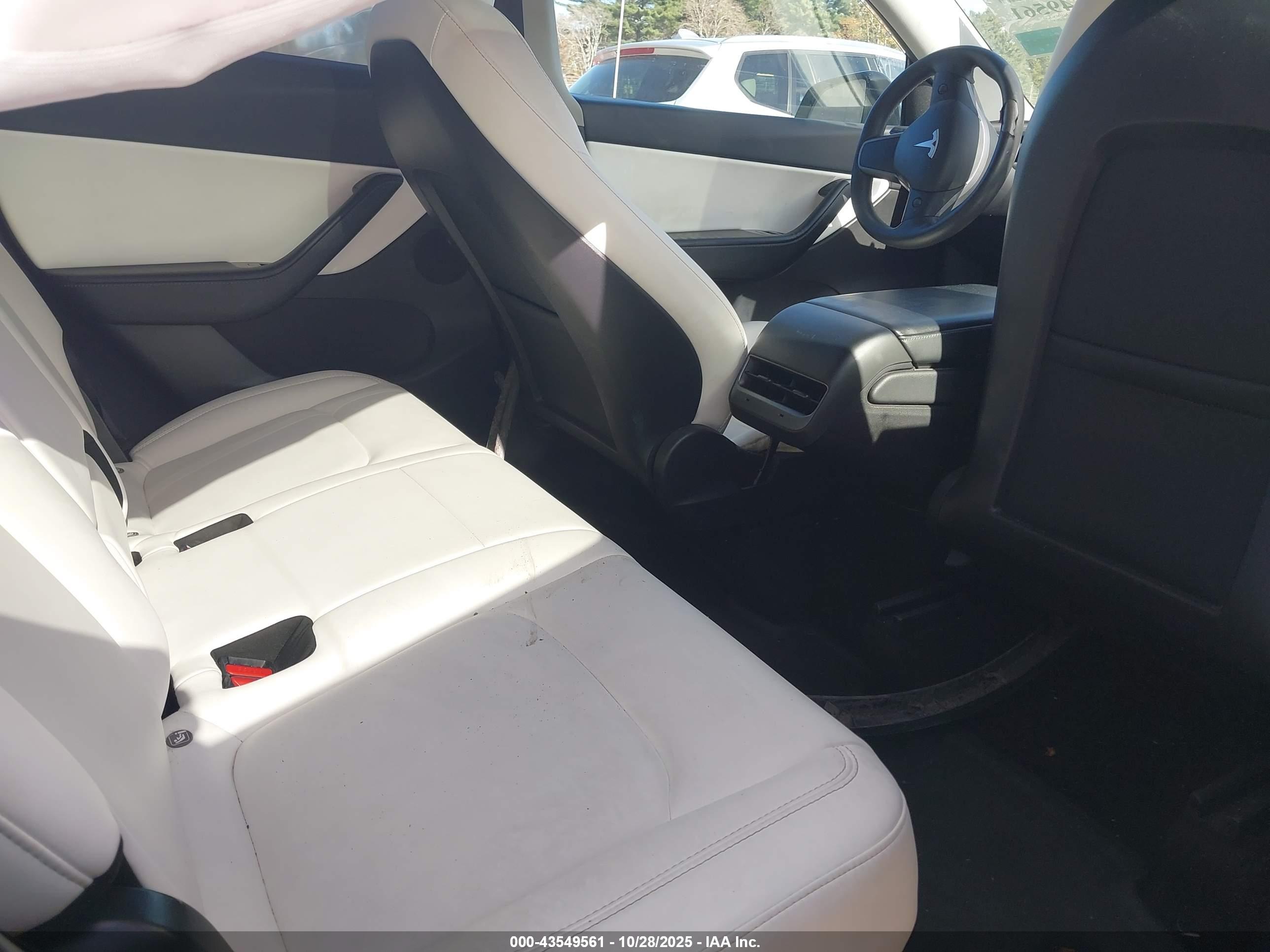 TESLA MODEL image 8