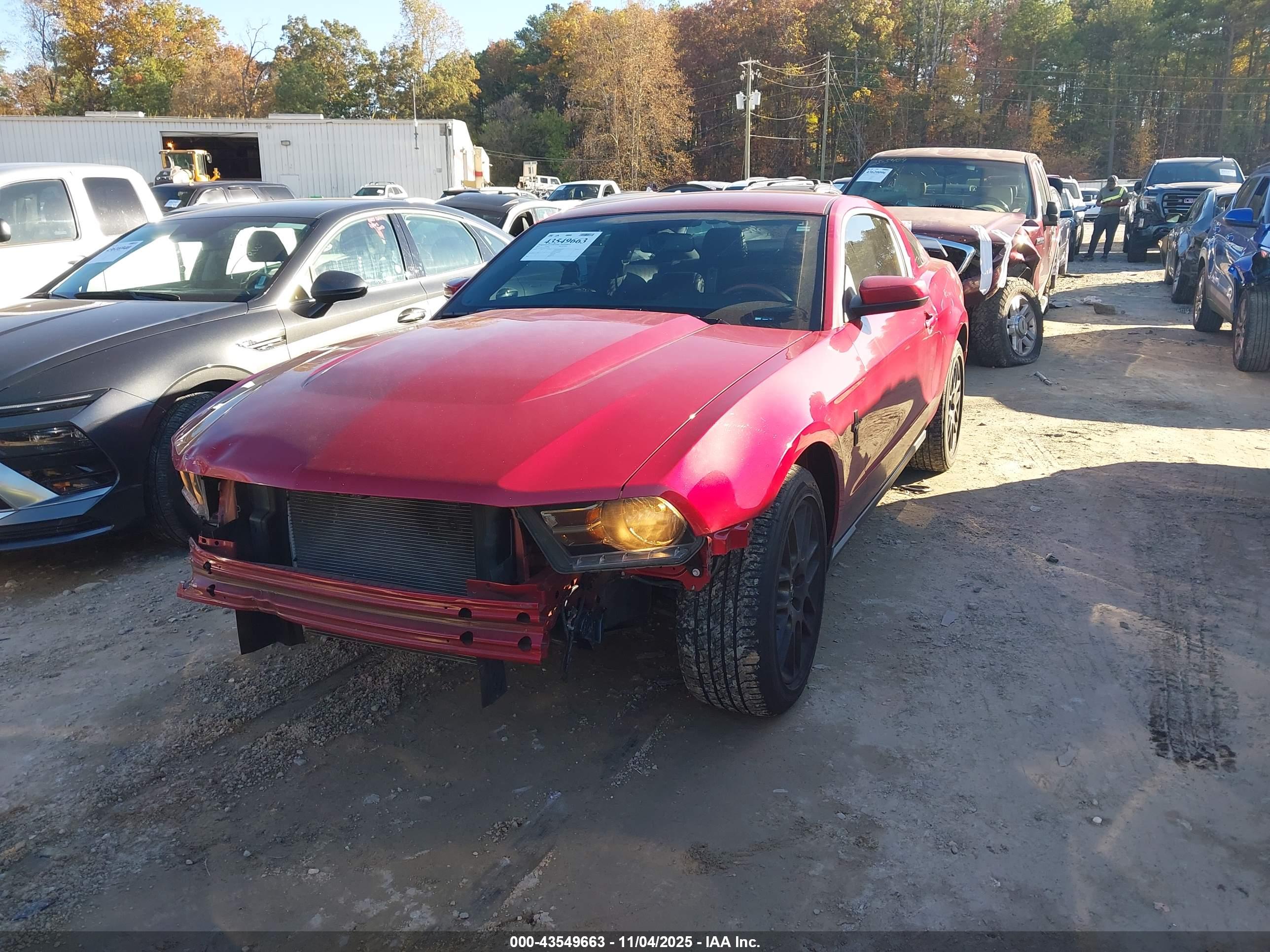 FORD MUSTANG image 2