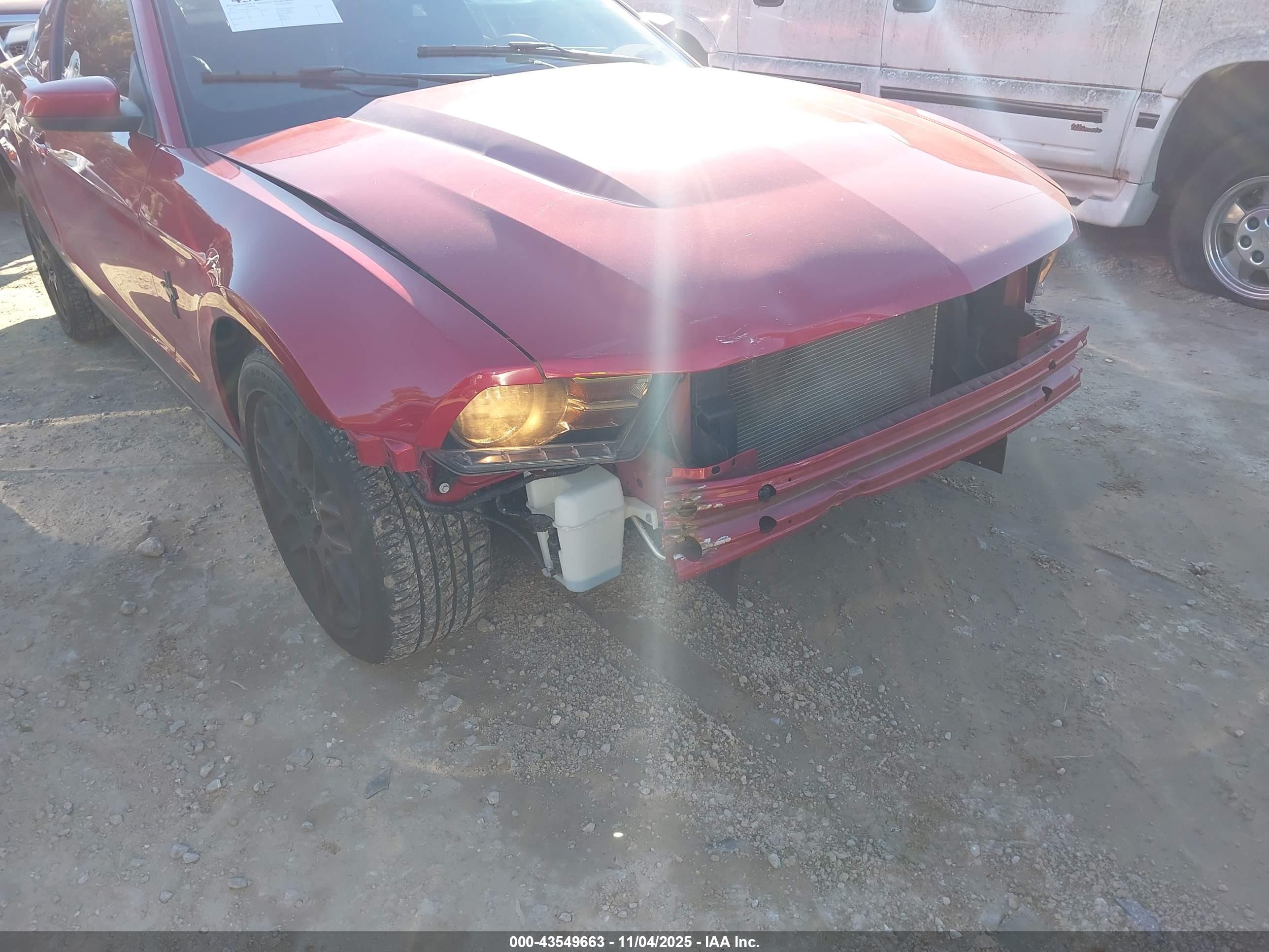FORD MUSTANG image 6