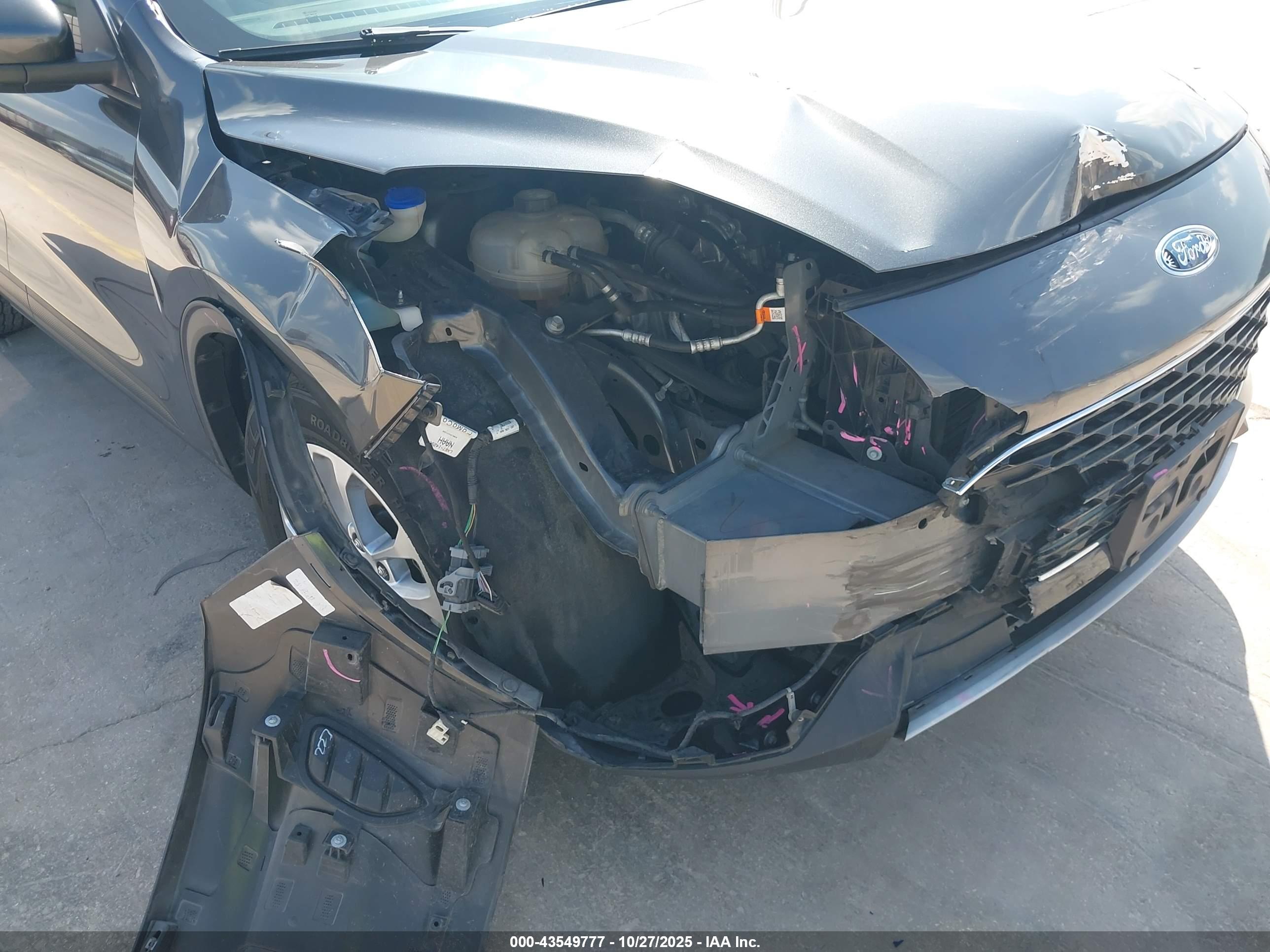 FORD ESCAPE image 6