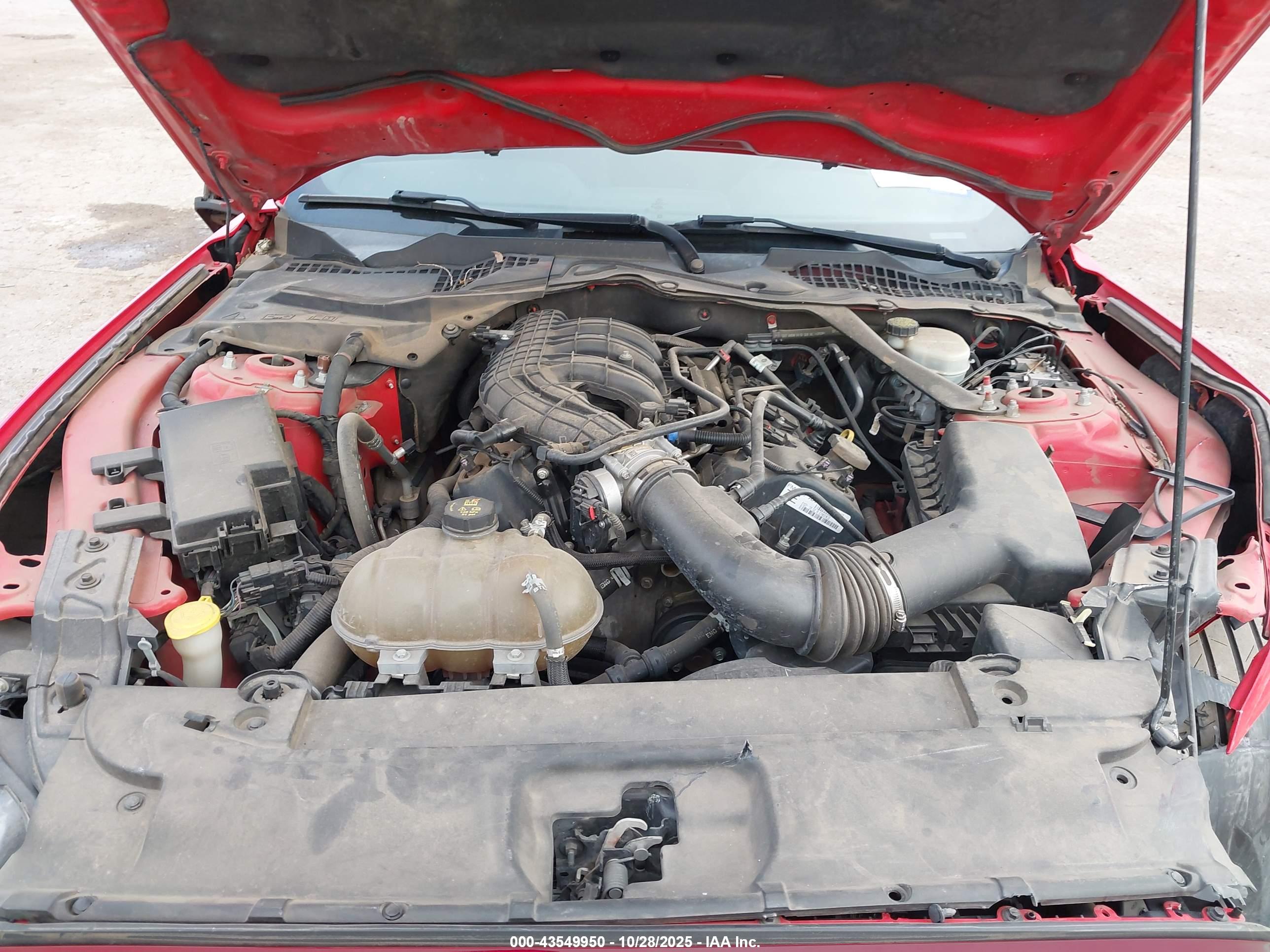 FORD MUSTANG image 10