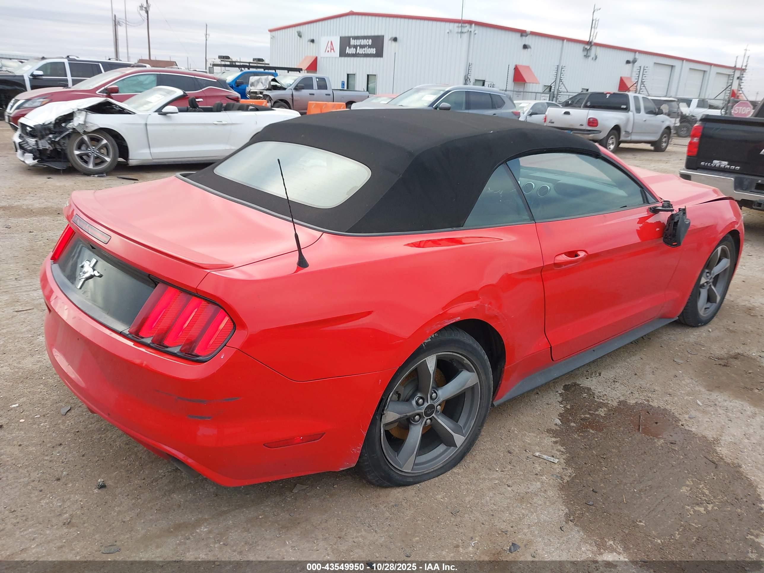 FORD MUSTANG image 4