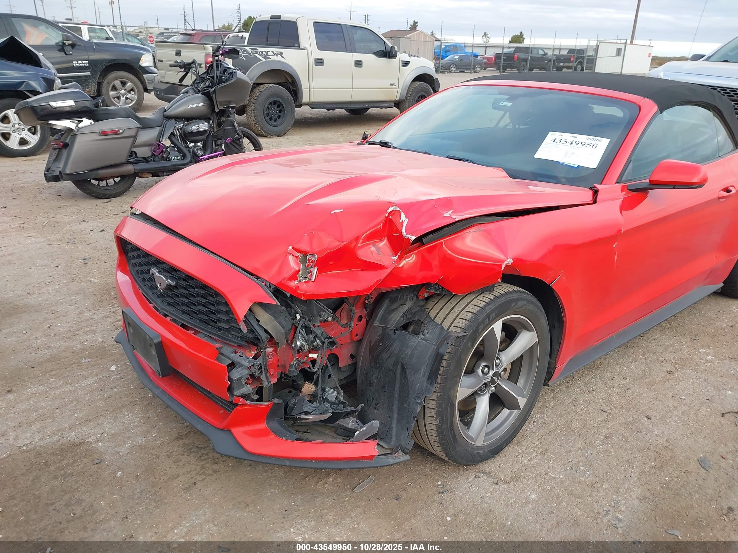 FORD MUSTANG image 6