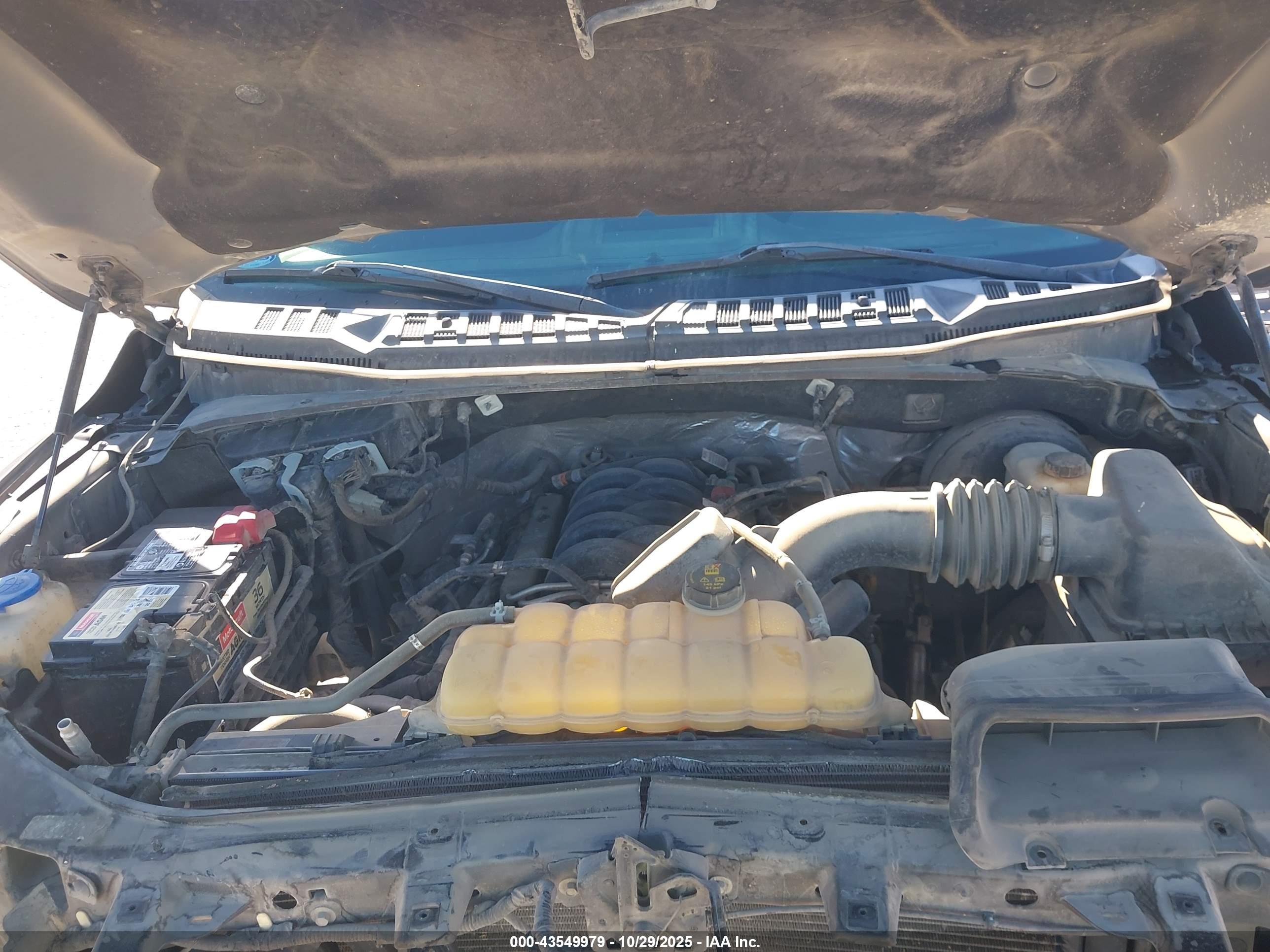 FORD F-150 image 10