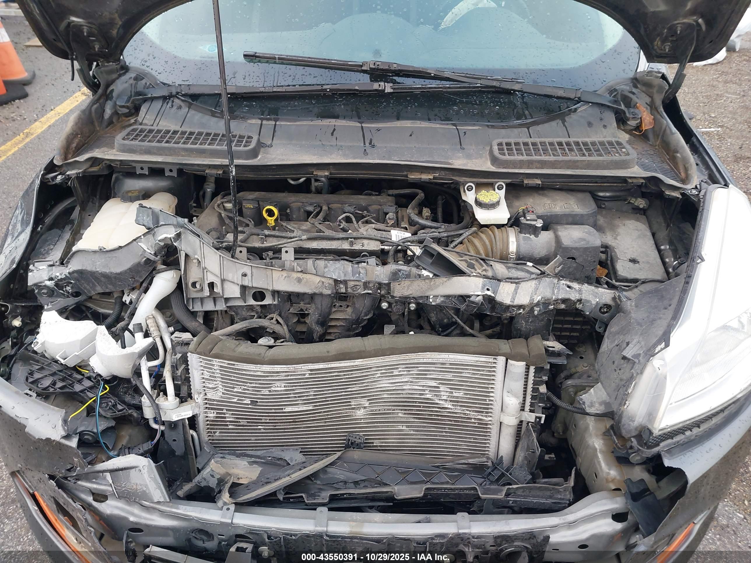 FORD ESCAPE image 10