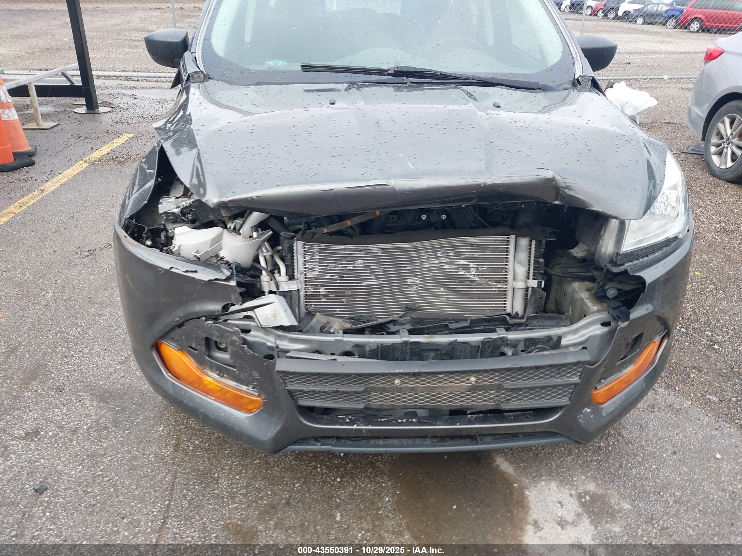 FORD ESCAPE image 6