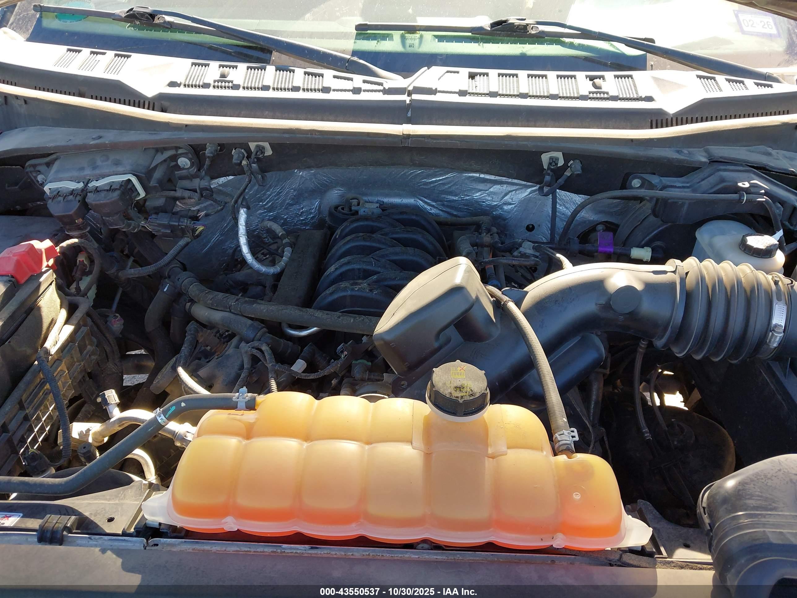FORD F-150 image 10