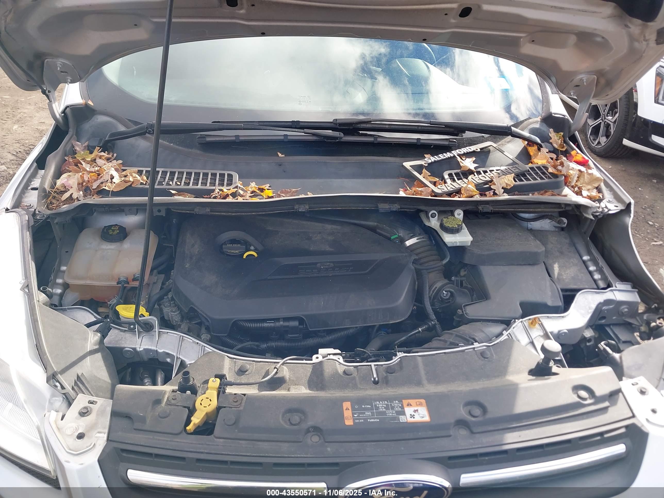 FORD ESCAPE image 10