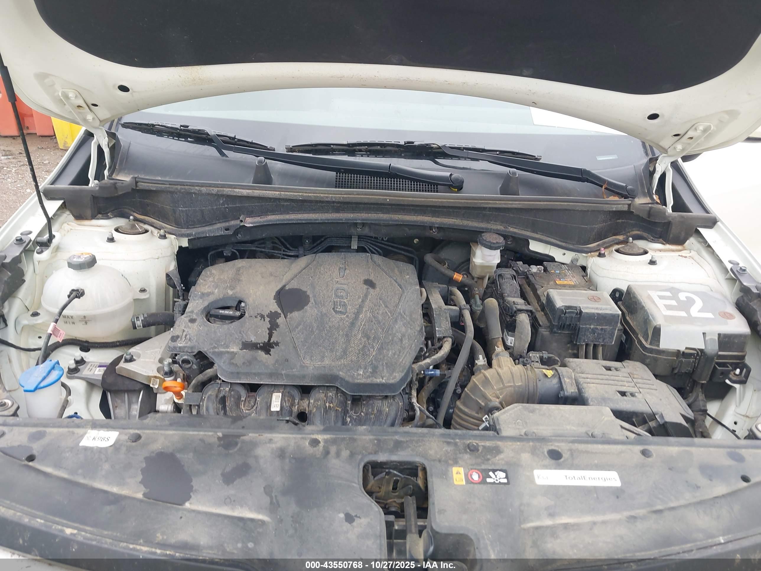 KIA SPORTAGE image 10