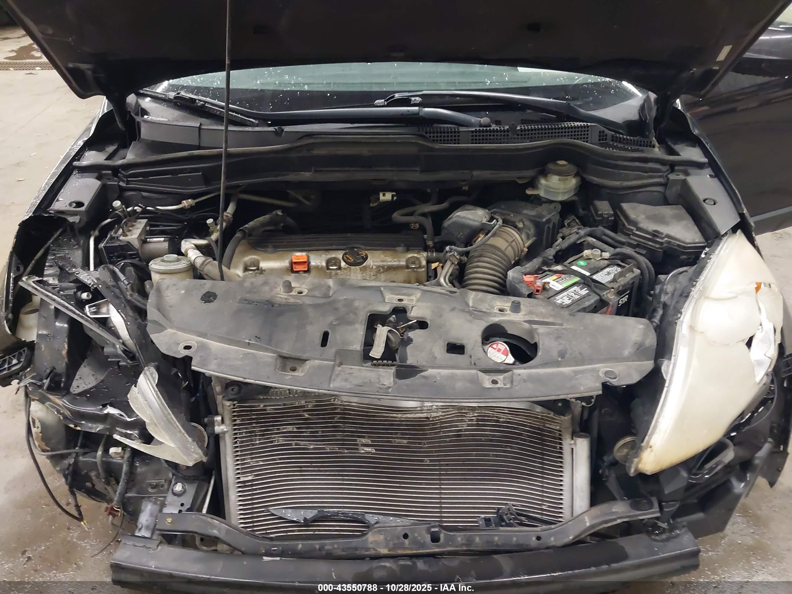 HONDA CR-V image 10