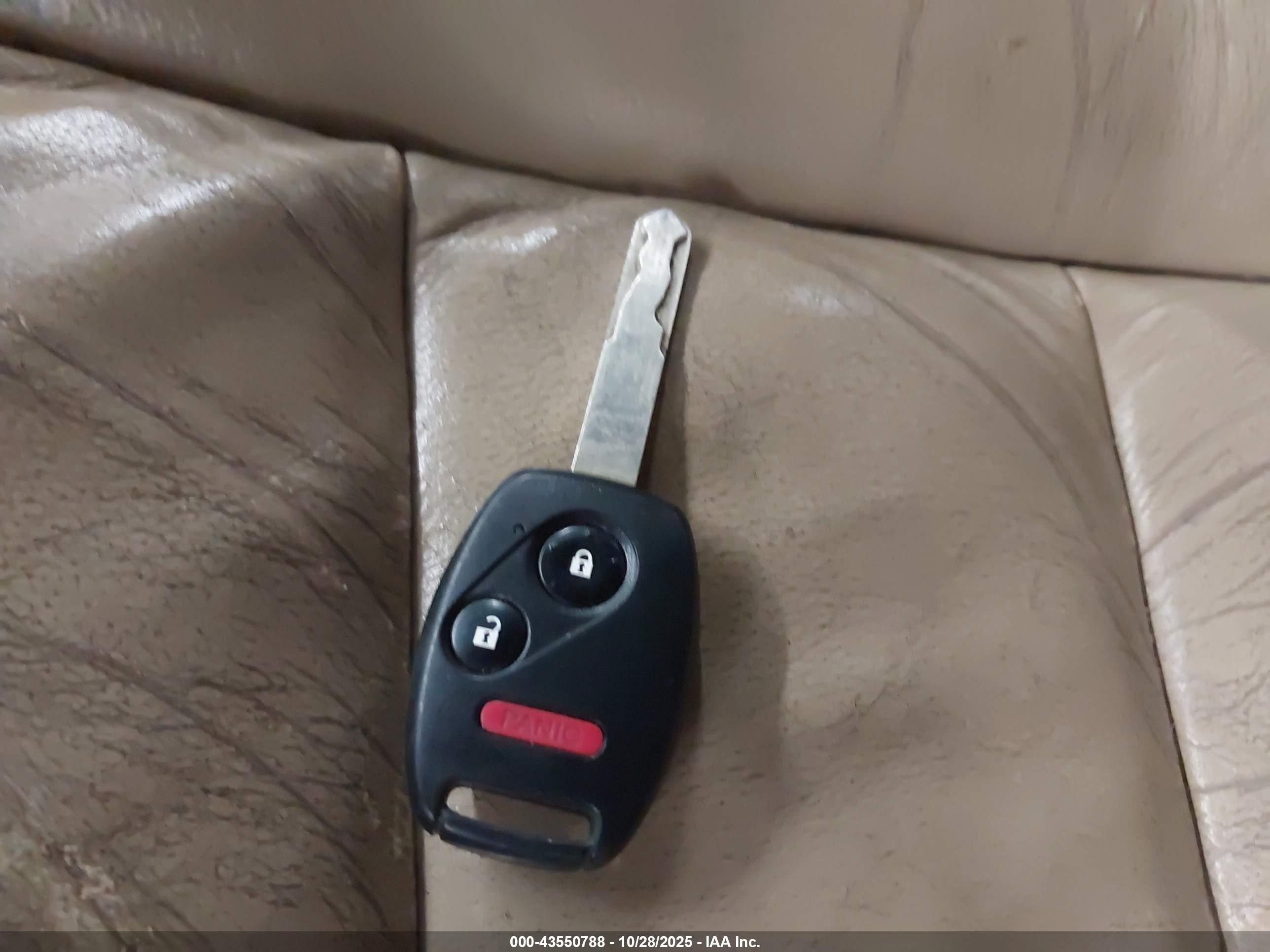 HONDA CR-V image 11