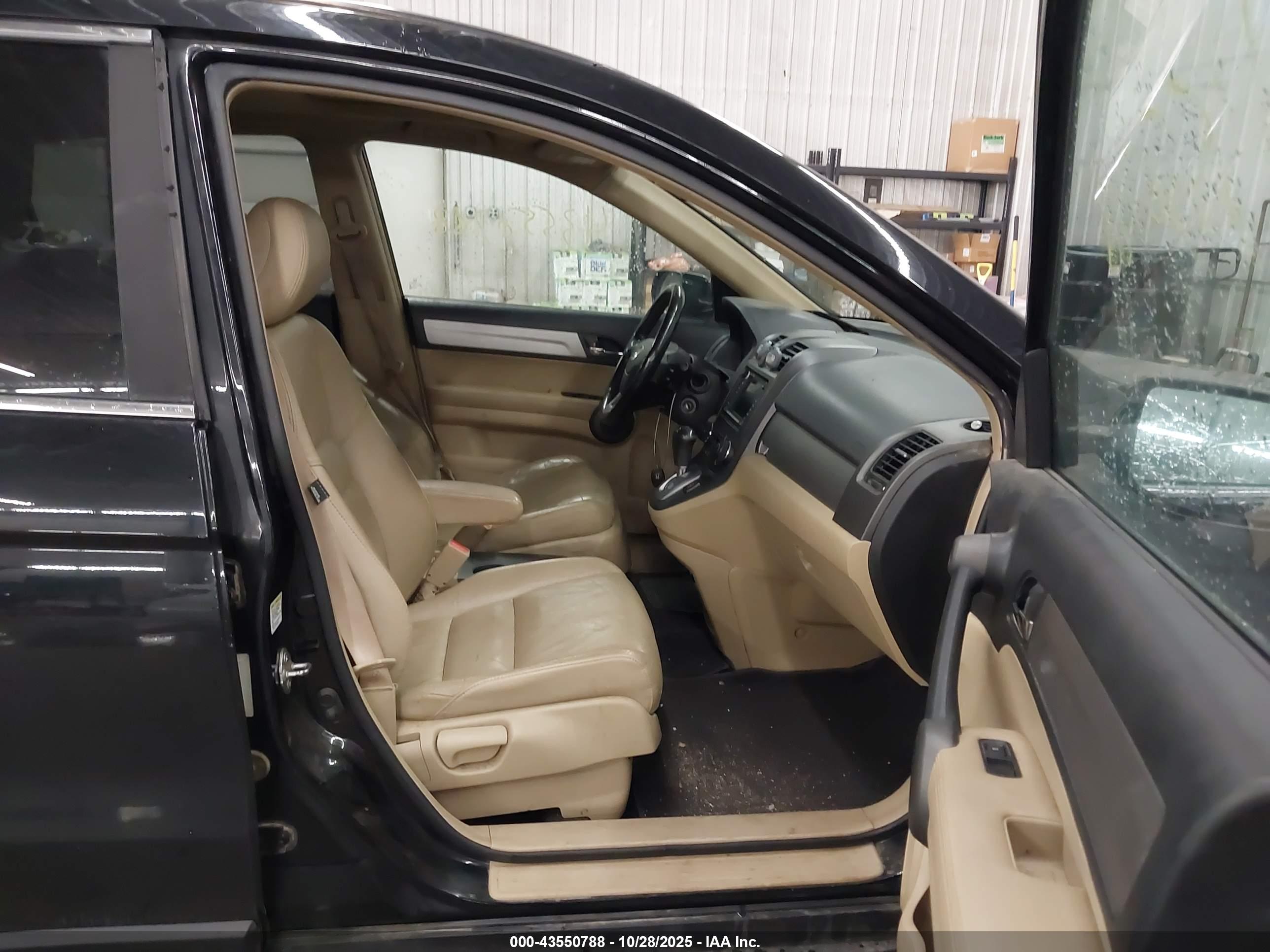 HONDA CR-V image 5