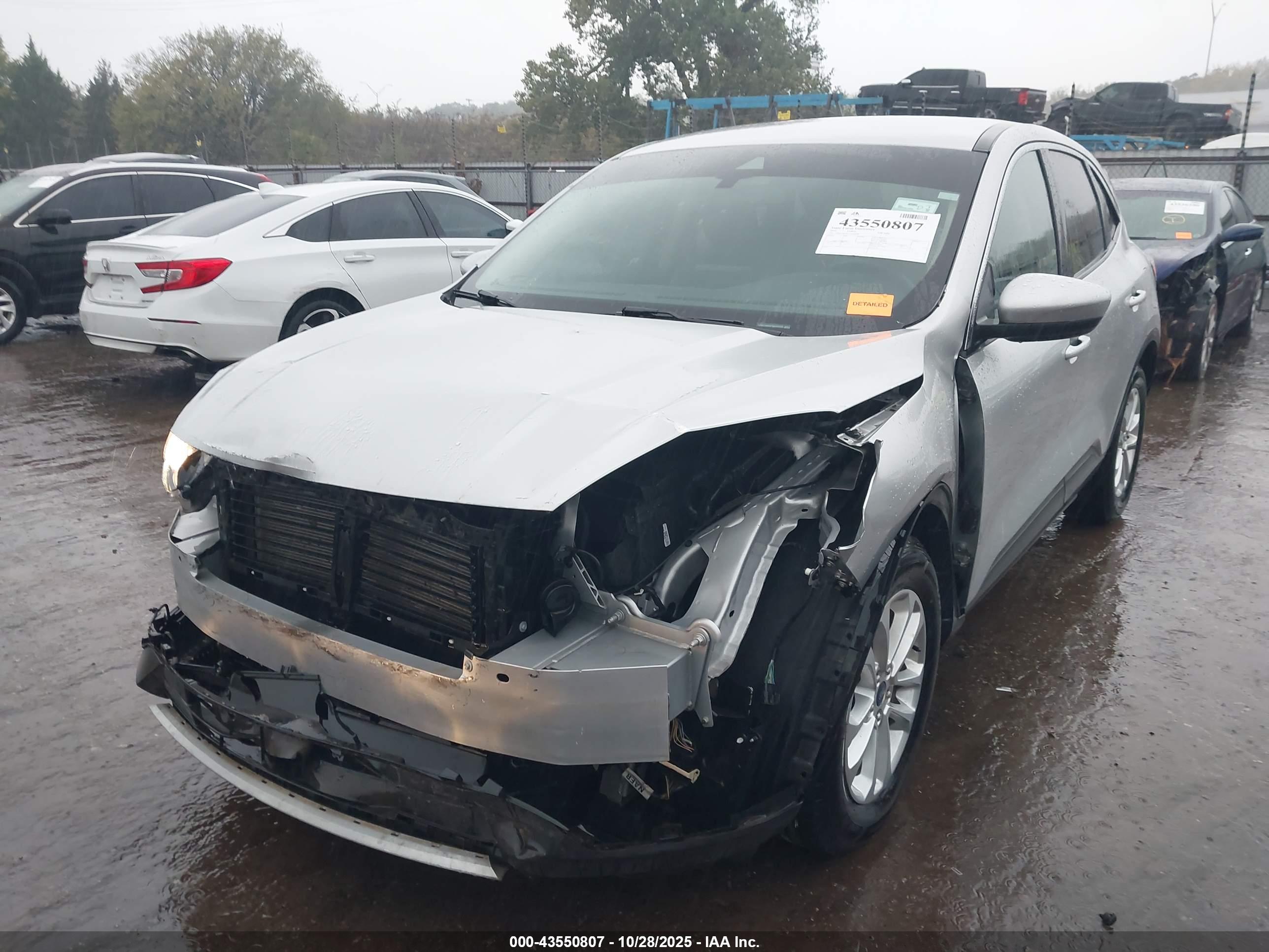 FORD ESCAPE image 6