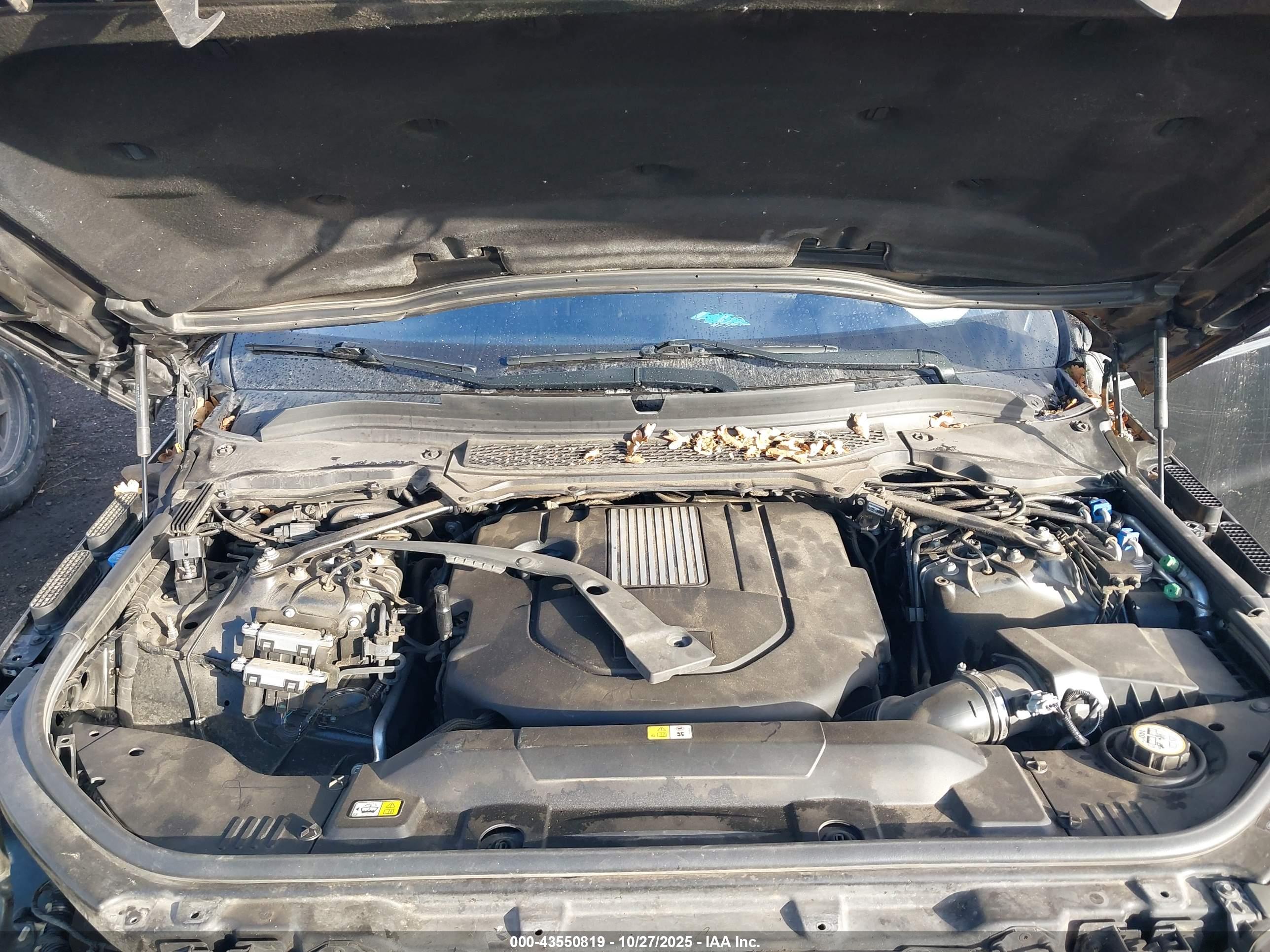 LAND ROVER image 10