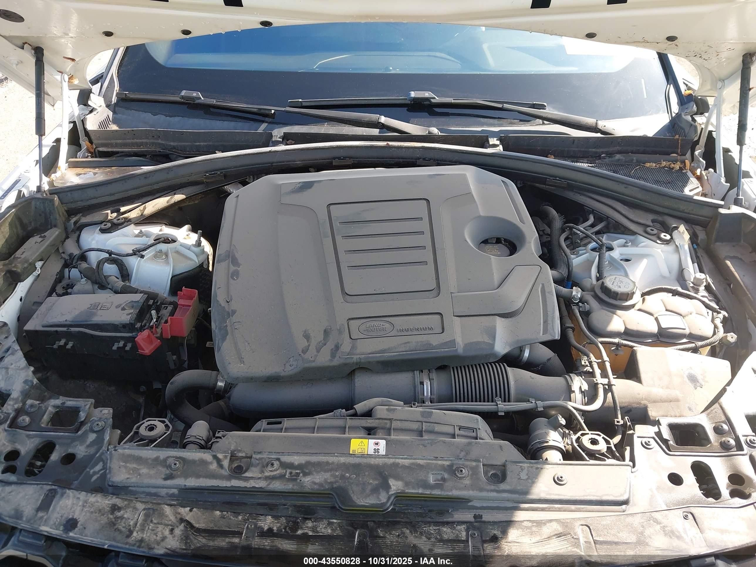 LAND ROVER image 10