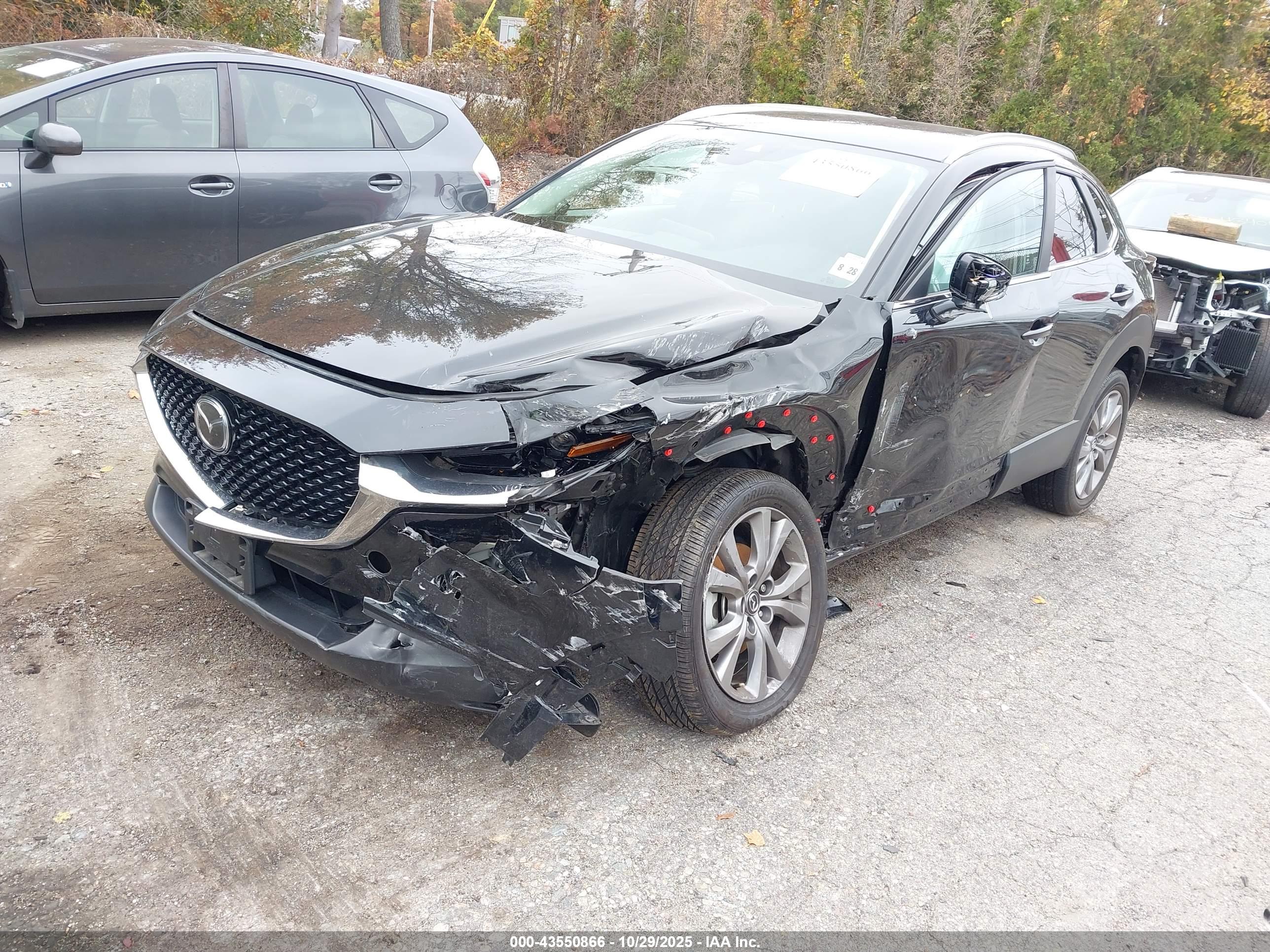 MAZDA CX-30 image 2