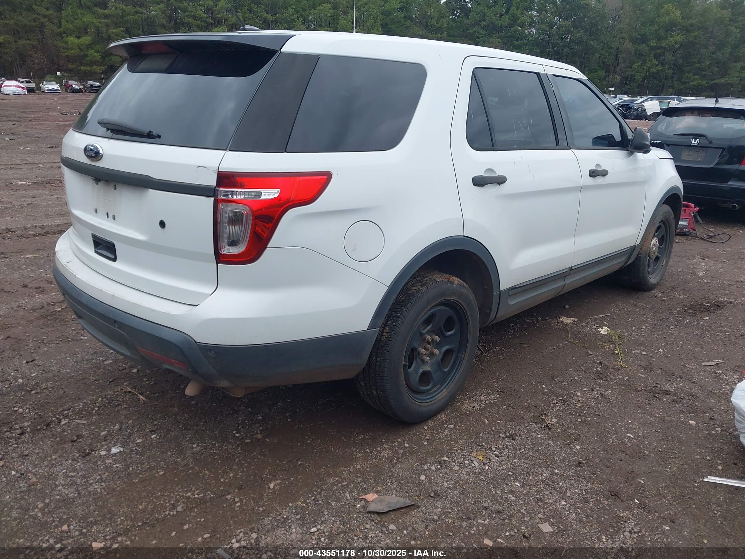 FORD UTILITY image 4