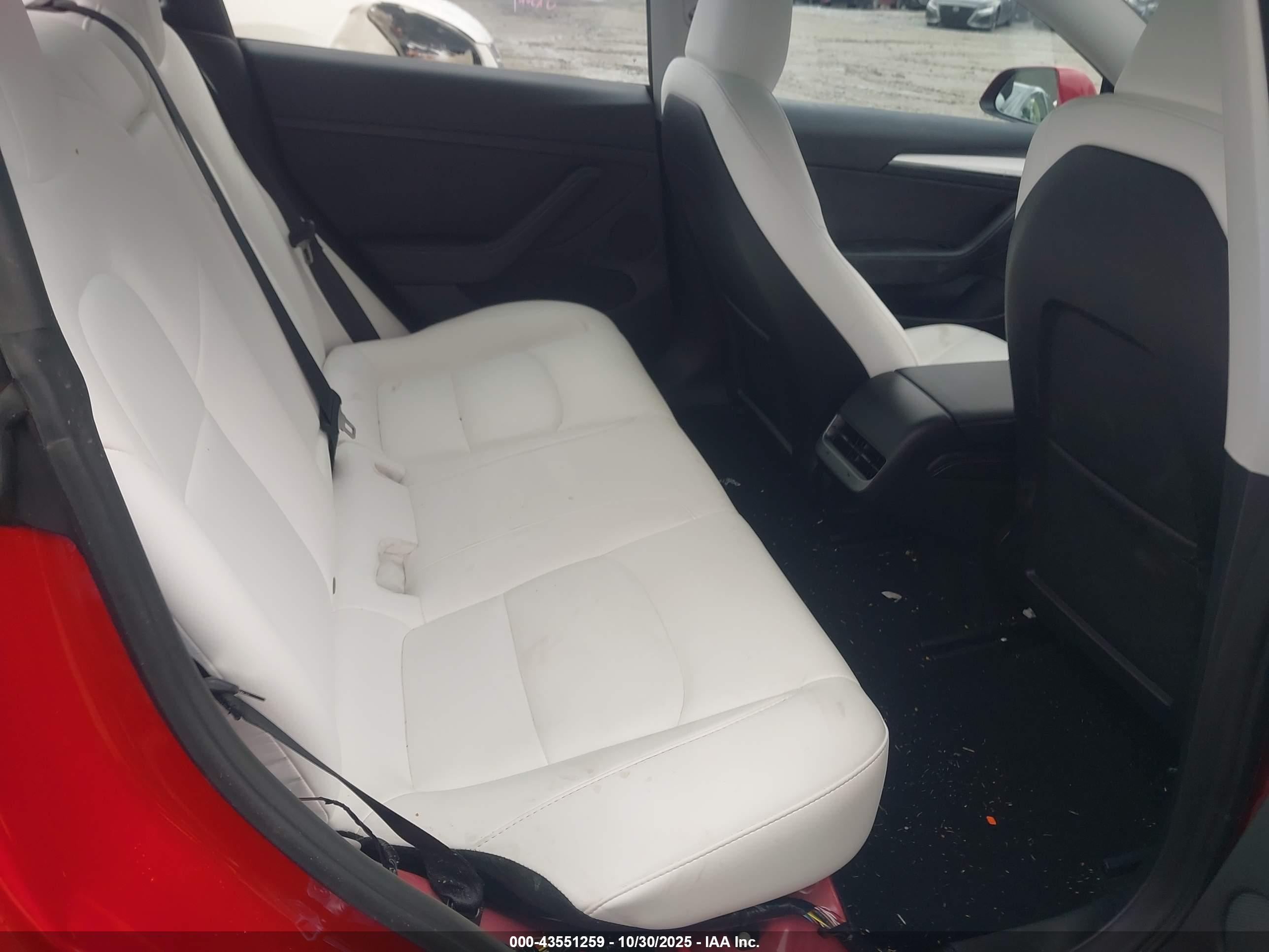 TESLA MODEL image 8