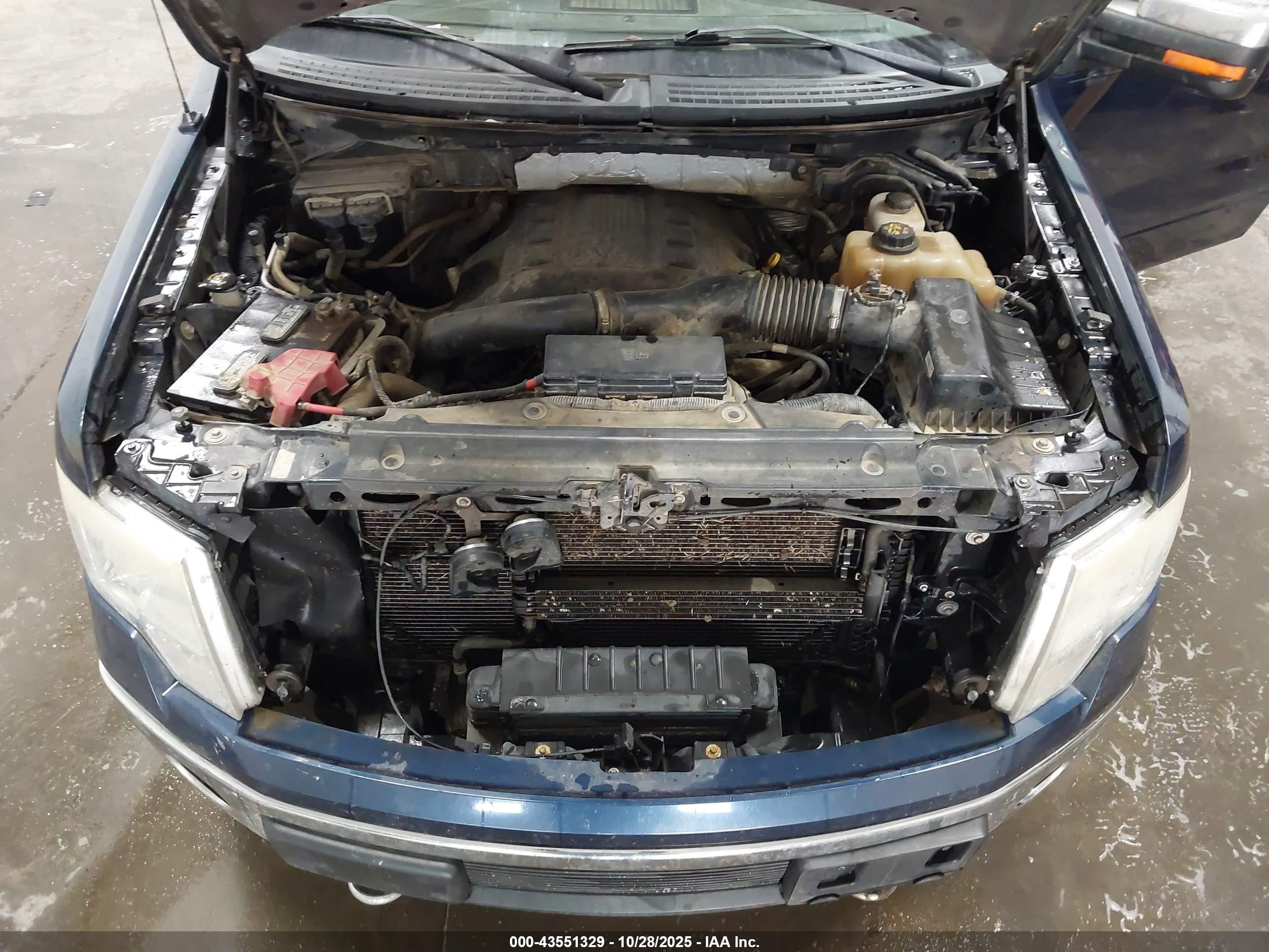 FORD F-150 image 10