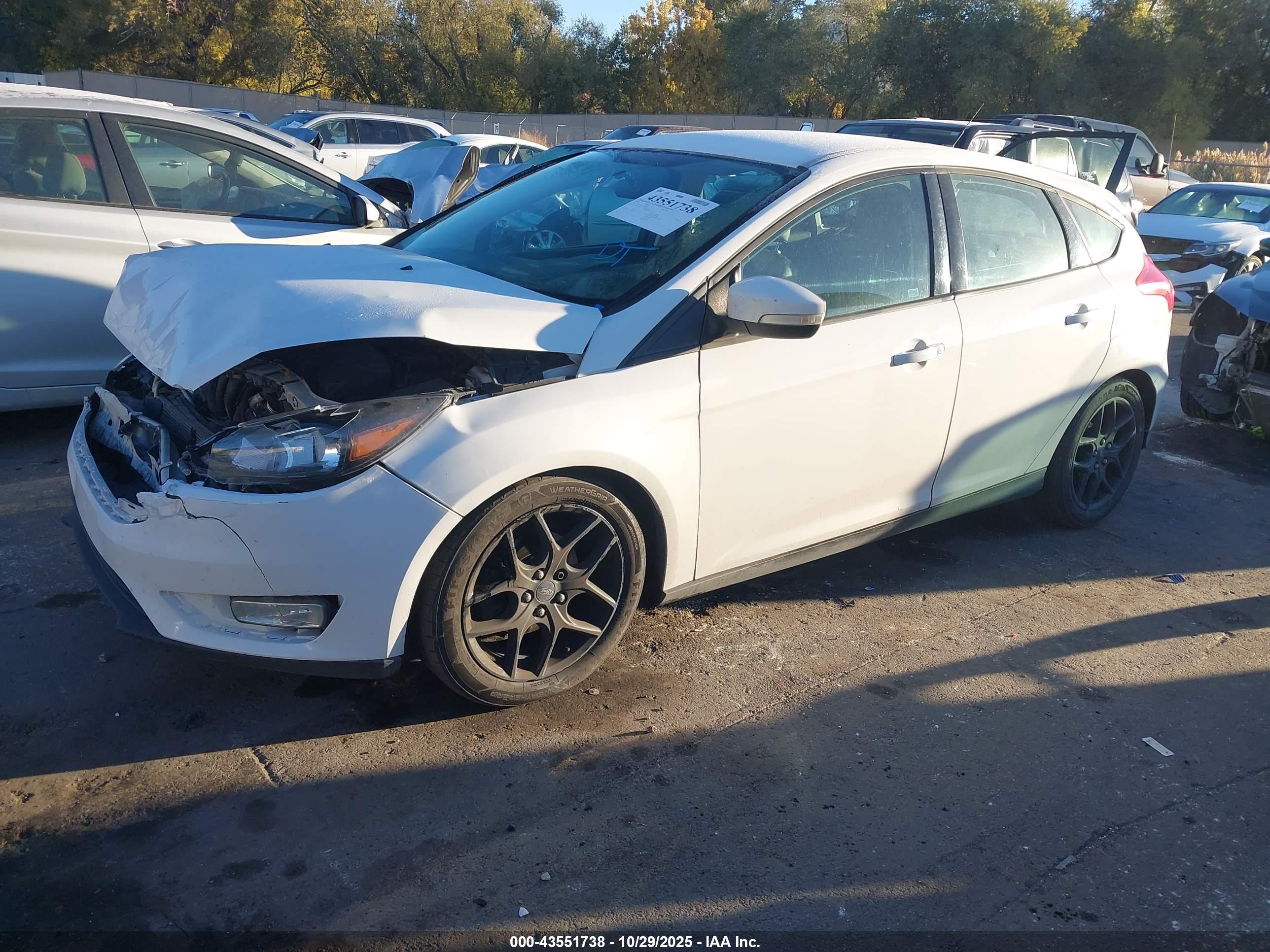 FORD FOCUS image 2
