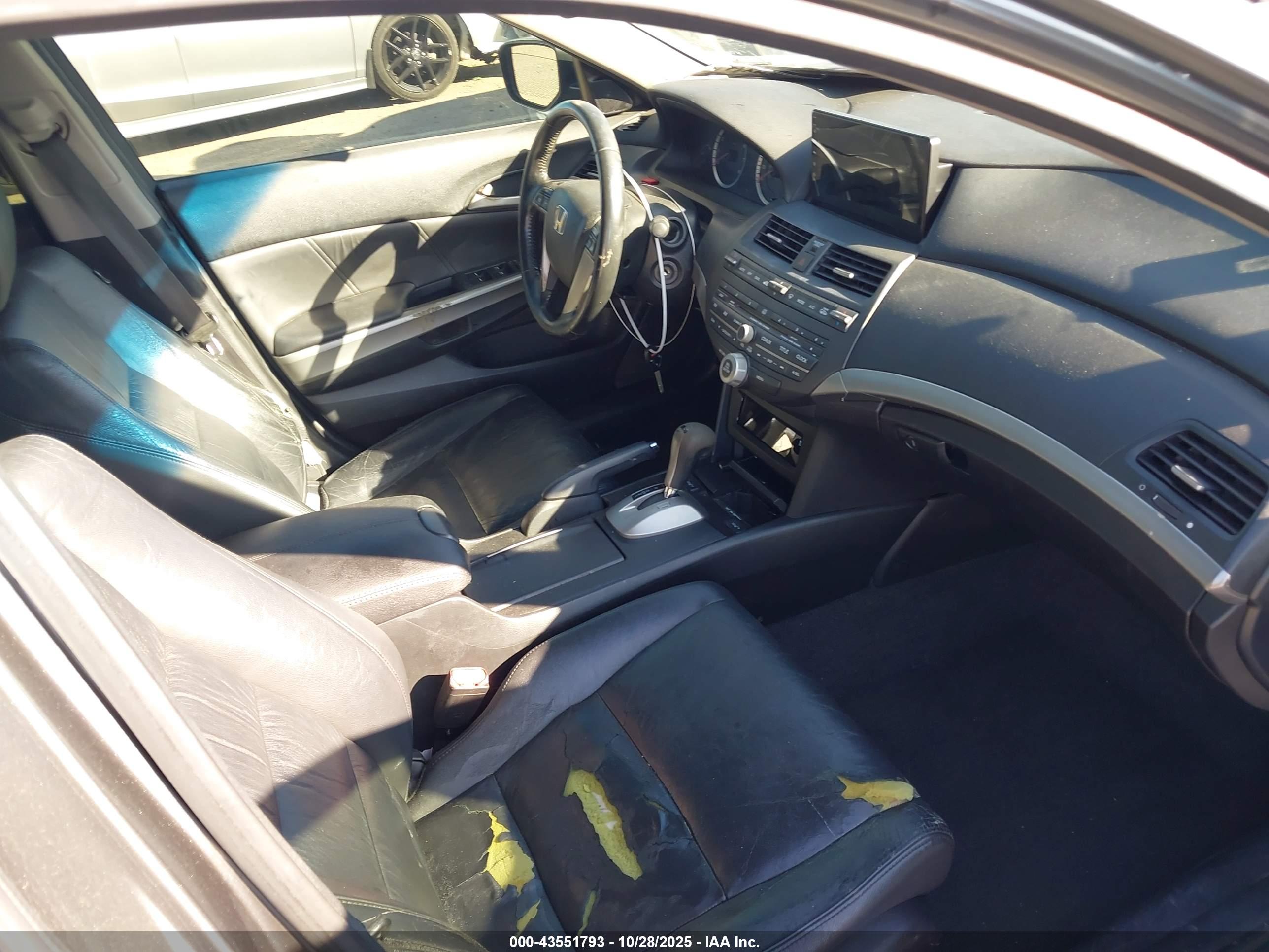 HONDA ACCORD image 5