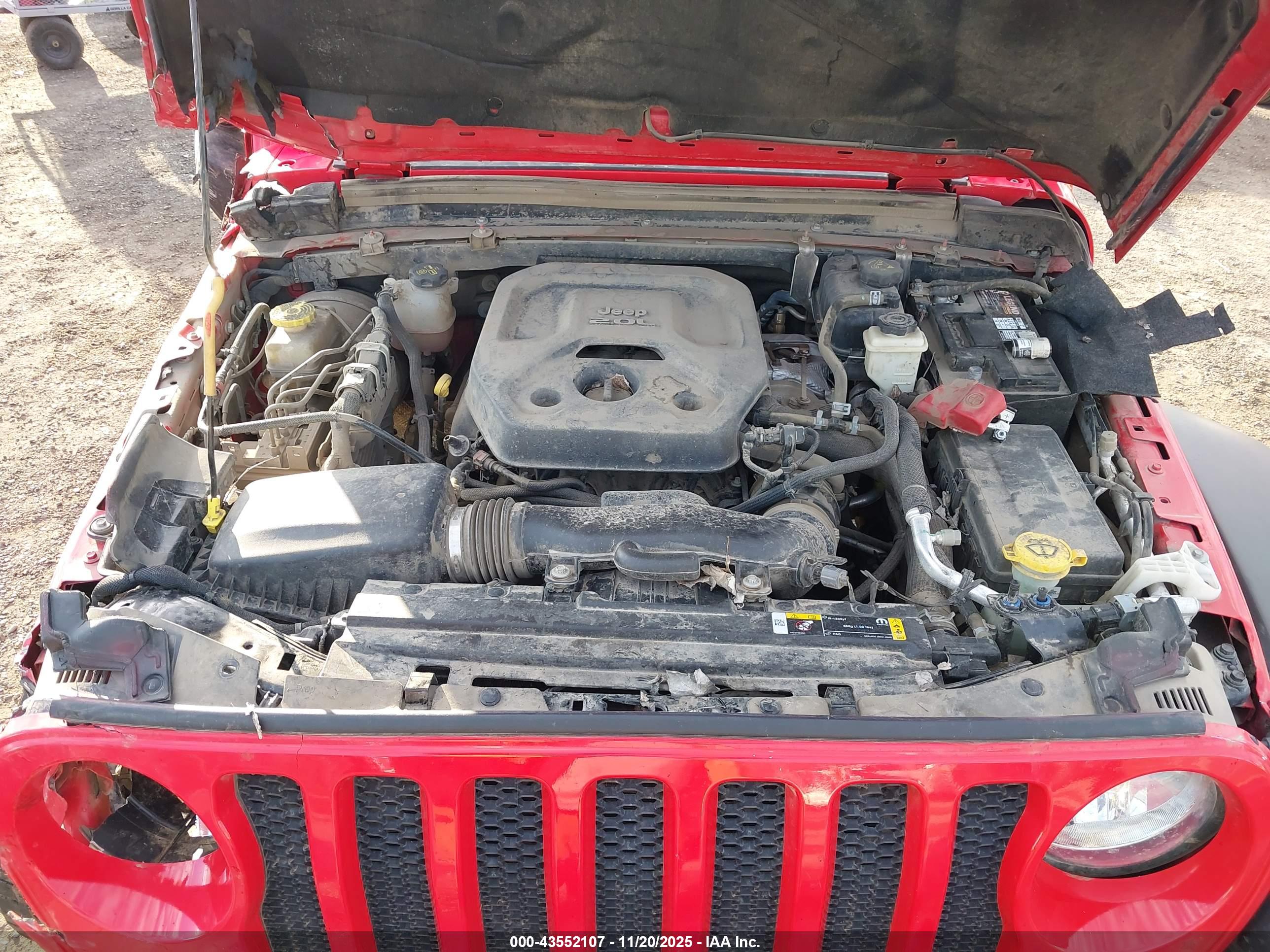 JEEP WRANGLER image 10