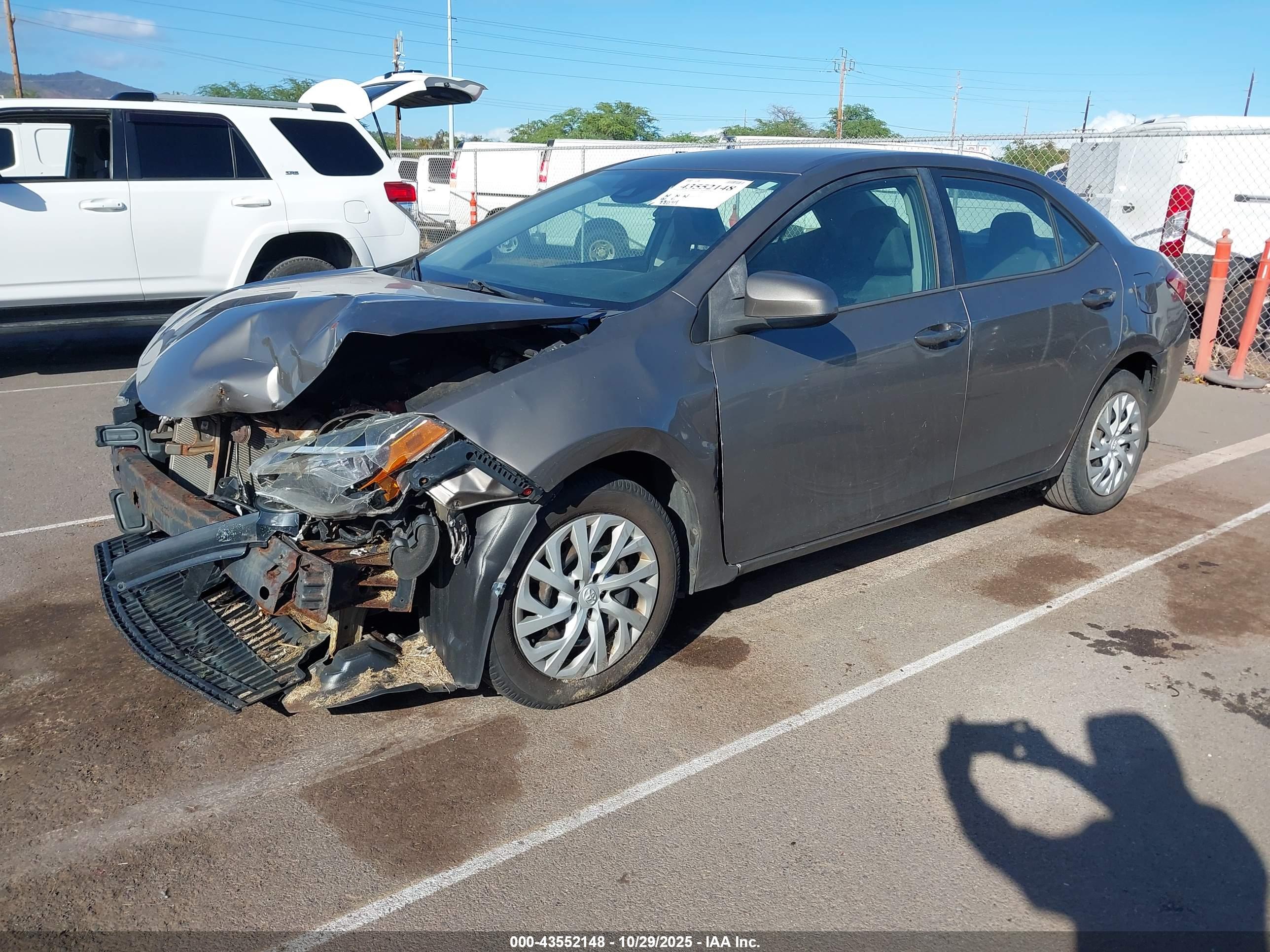 TOYOTA COROLLA image 2