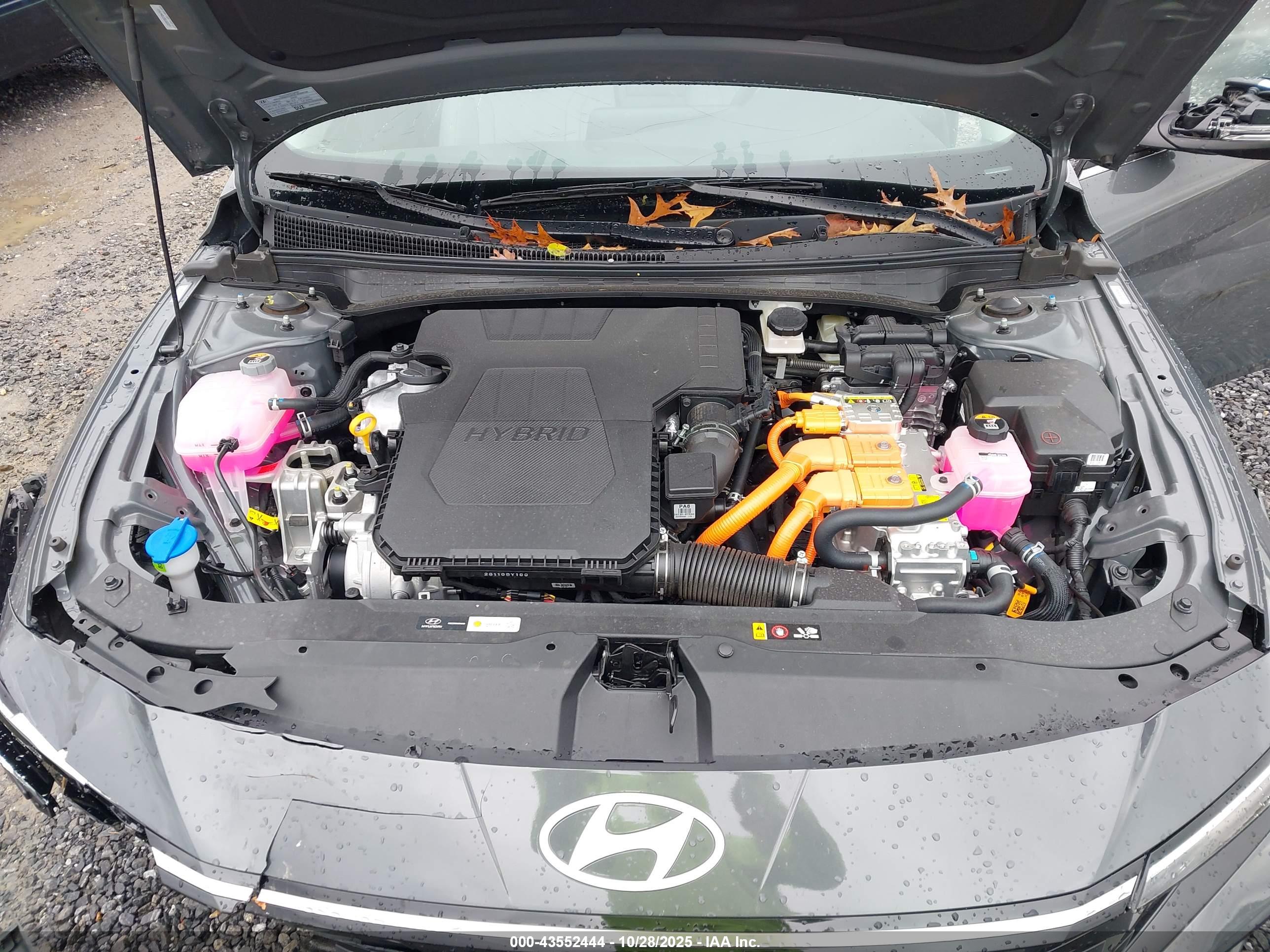 HYUNDAI ELANTRA image 10