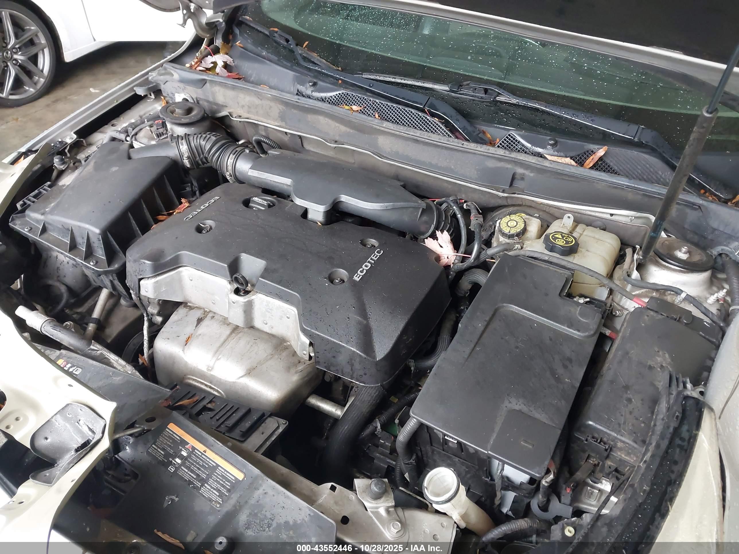 CHEVROLET MALIBU image 10
