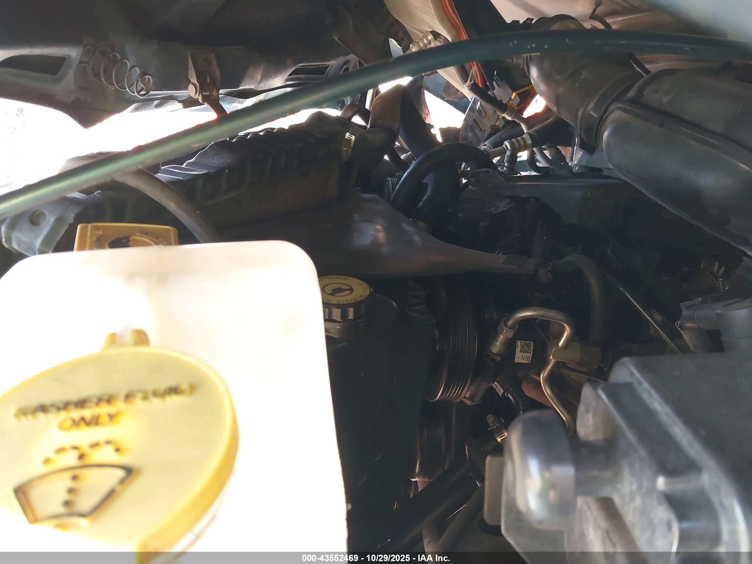 JEEP WRANGLER image 10