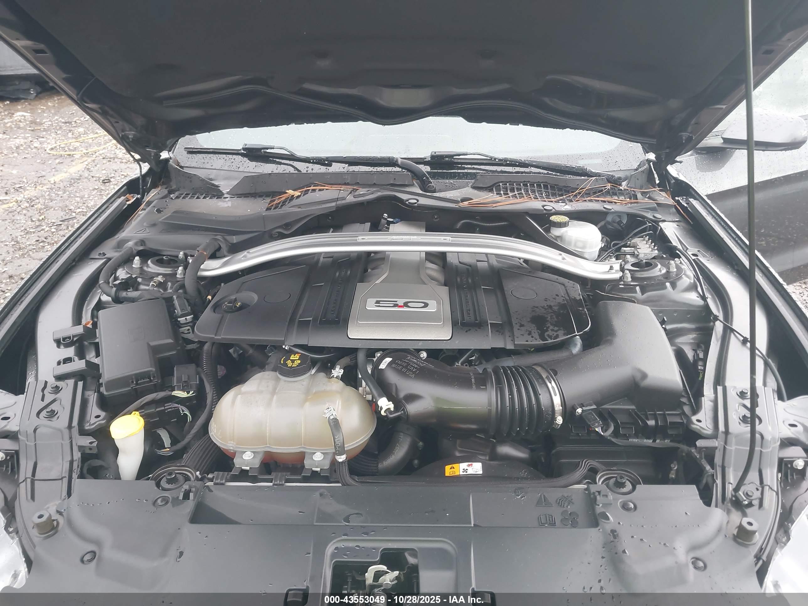 FORD MUSTANG image 10