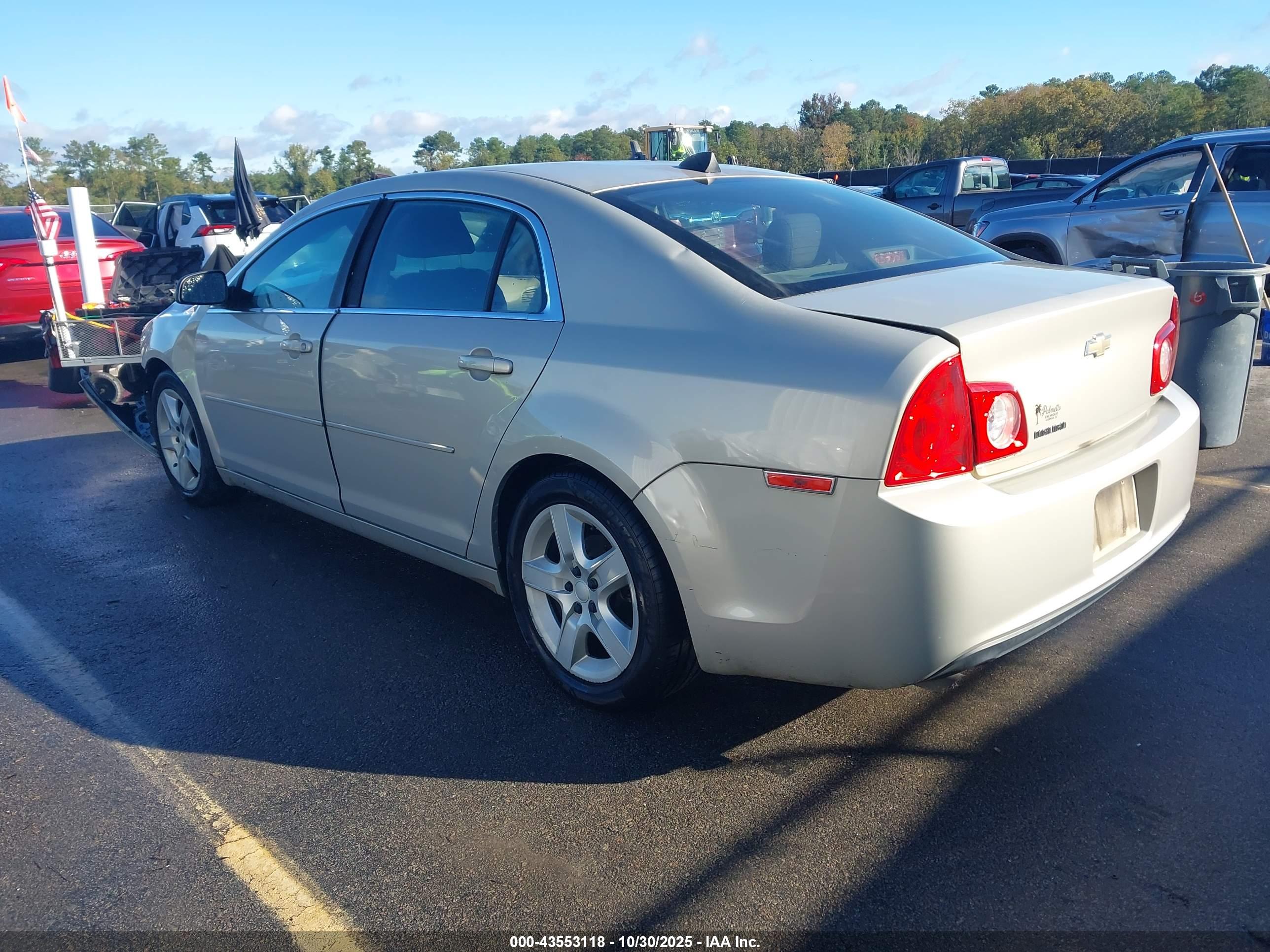 CHEVROLET MALIBU image 3