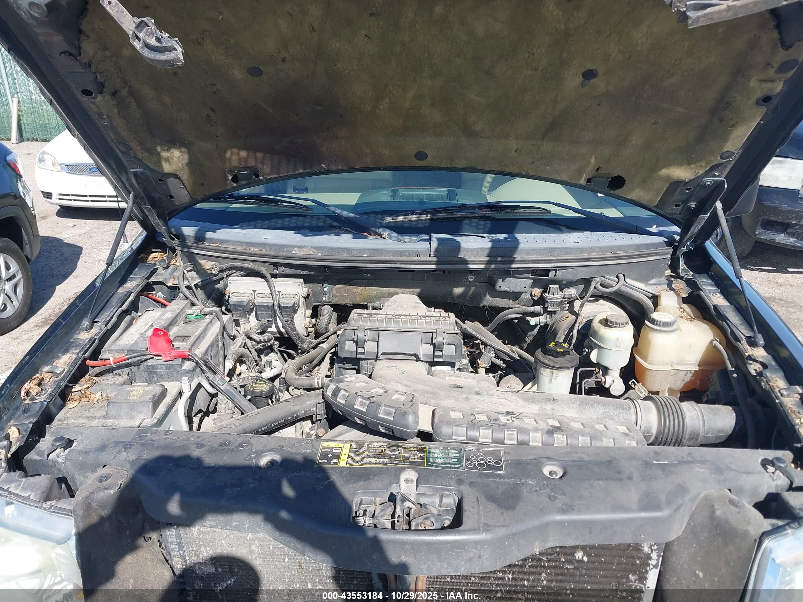FORD F-150 image 10