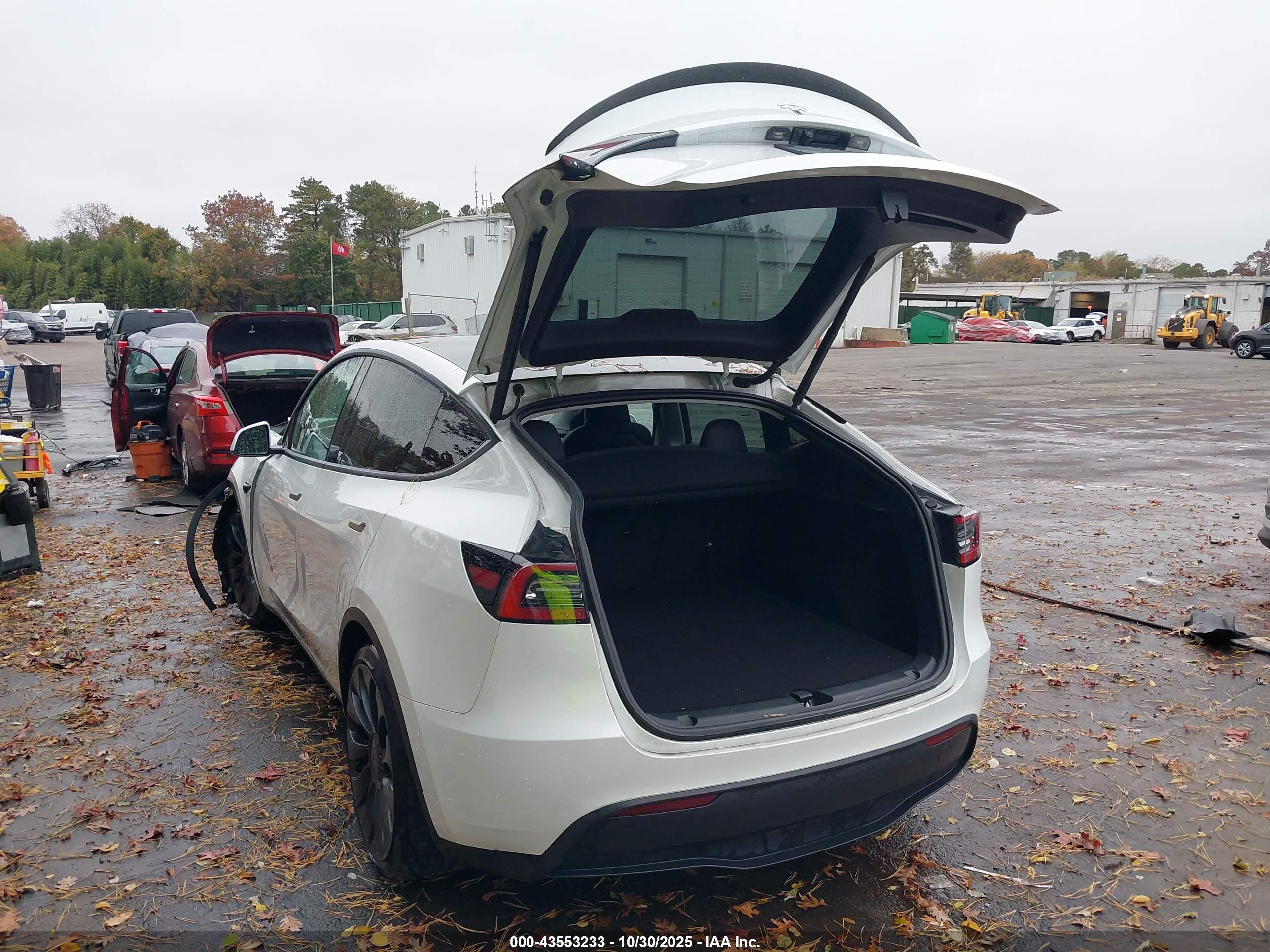 TESLA MODEL image 3