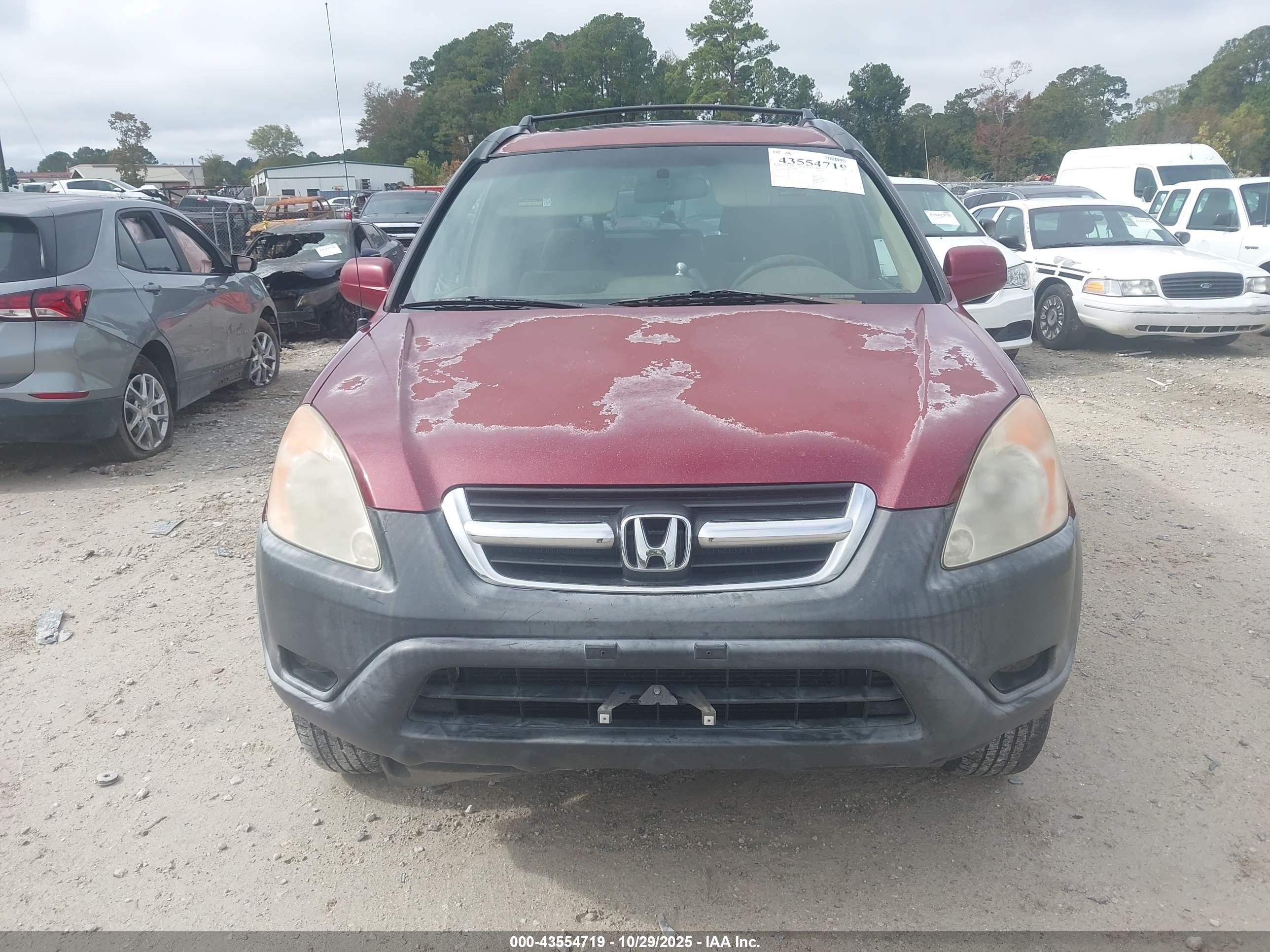 HONDA CR-V image 6