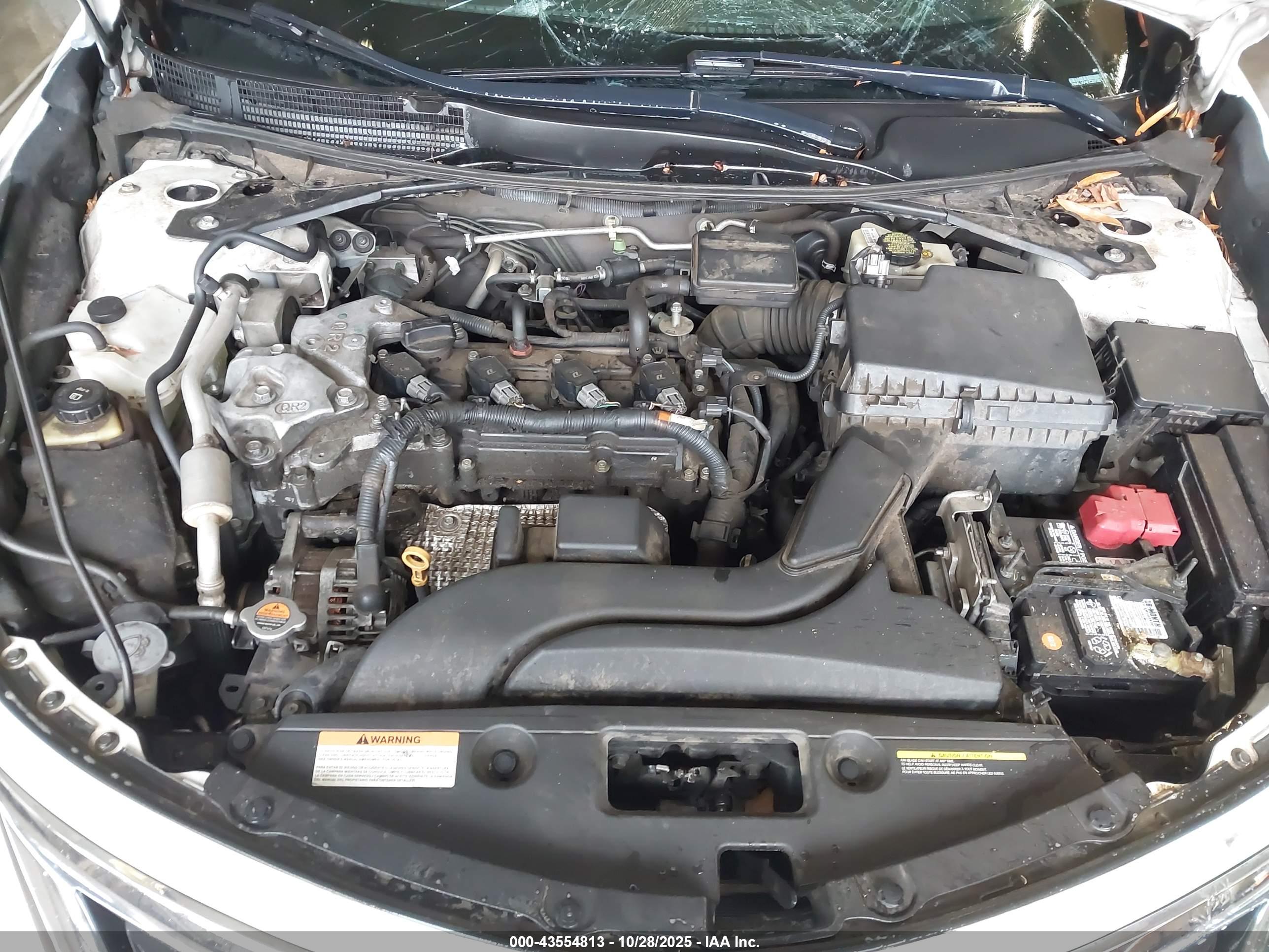 NISSAN ALTIMA image 10