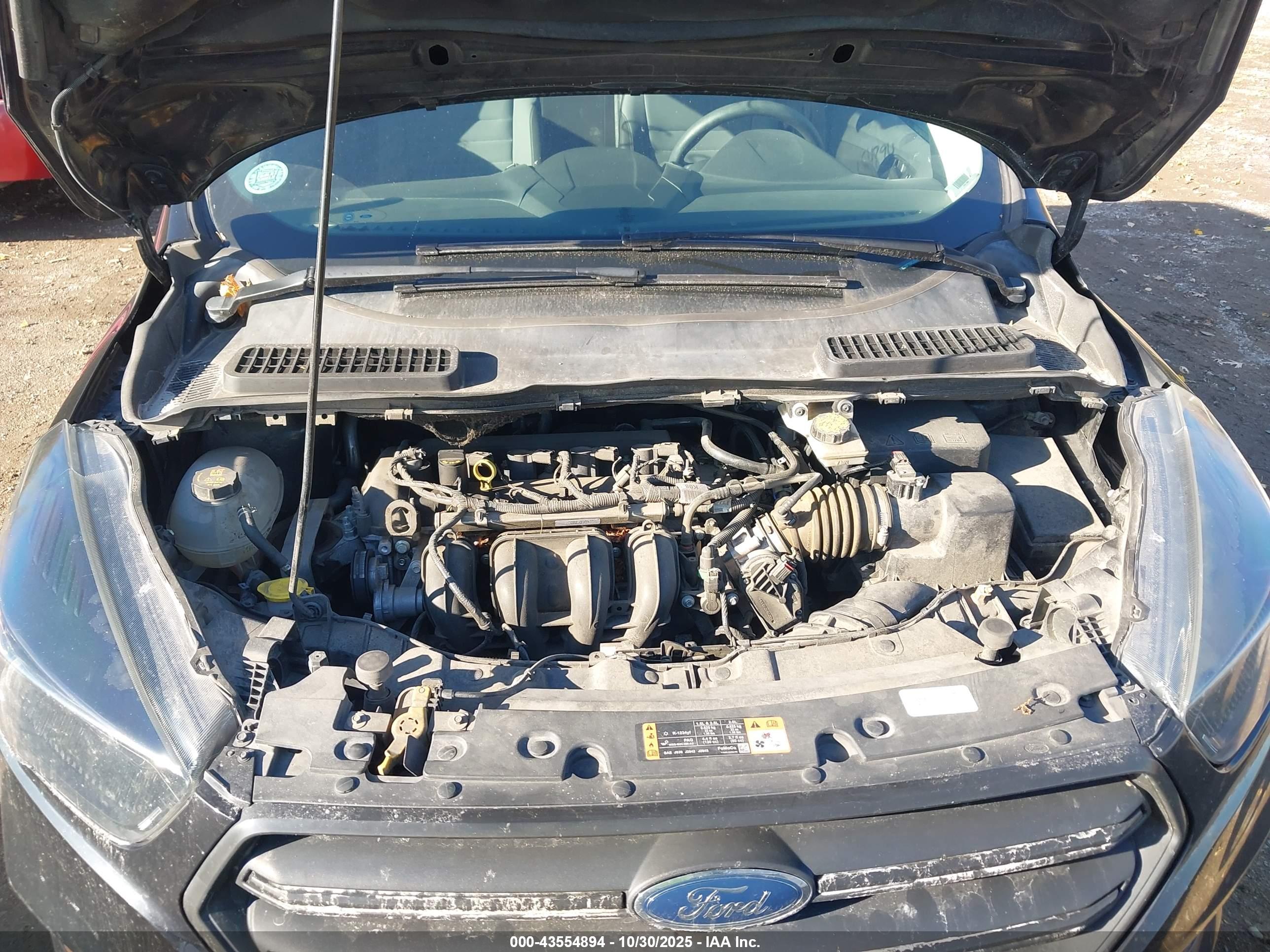 FORD ESCAPE image 10