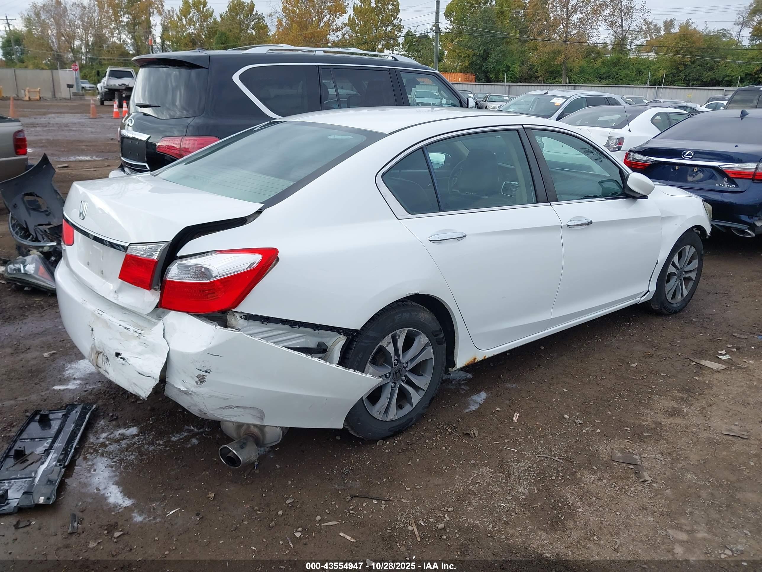 HONDA ACCORD image 4