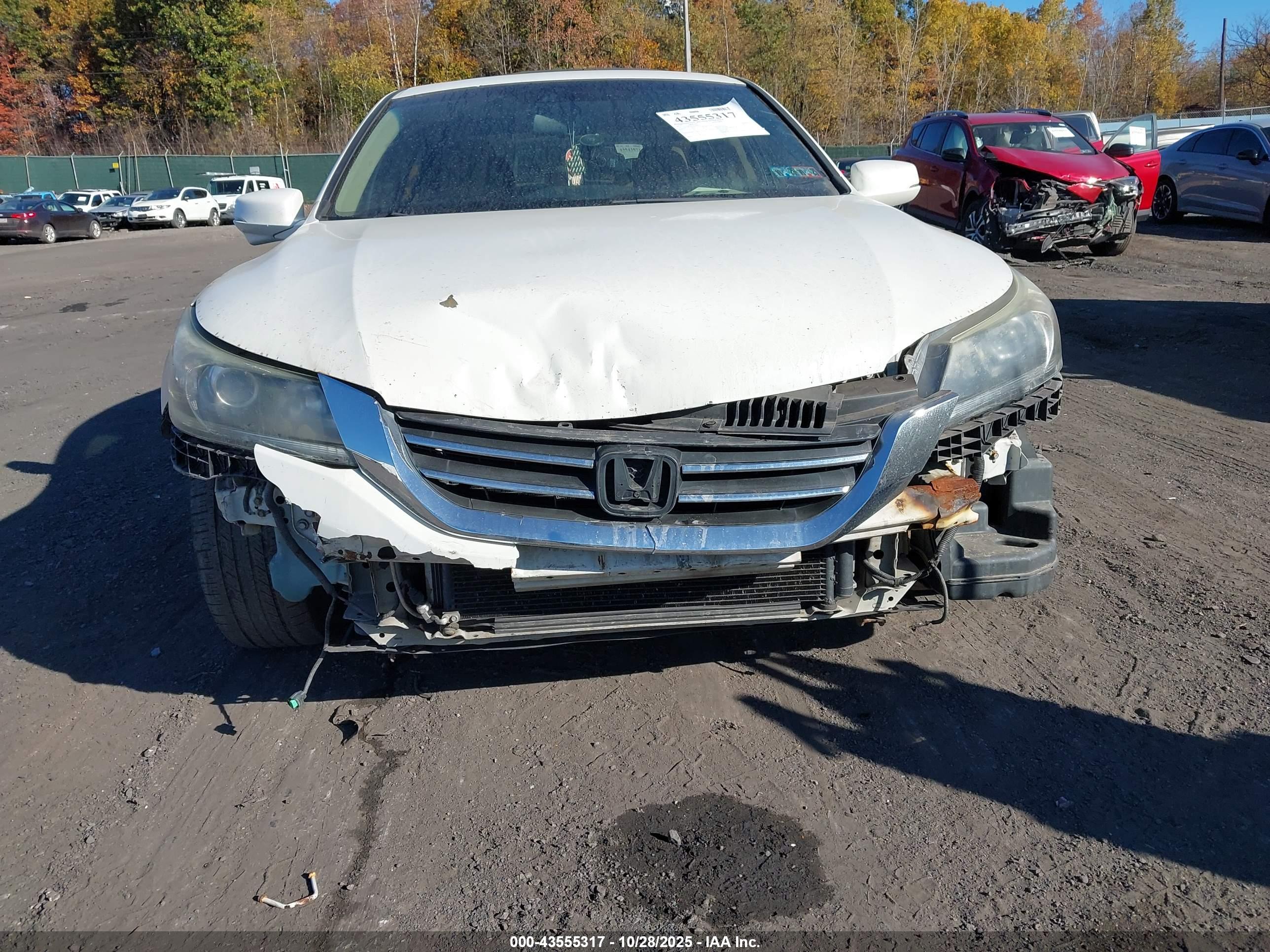 HONDA ACCORD image 6